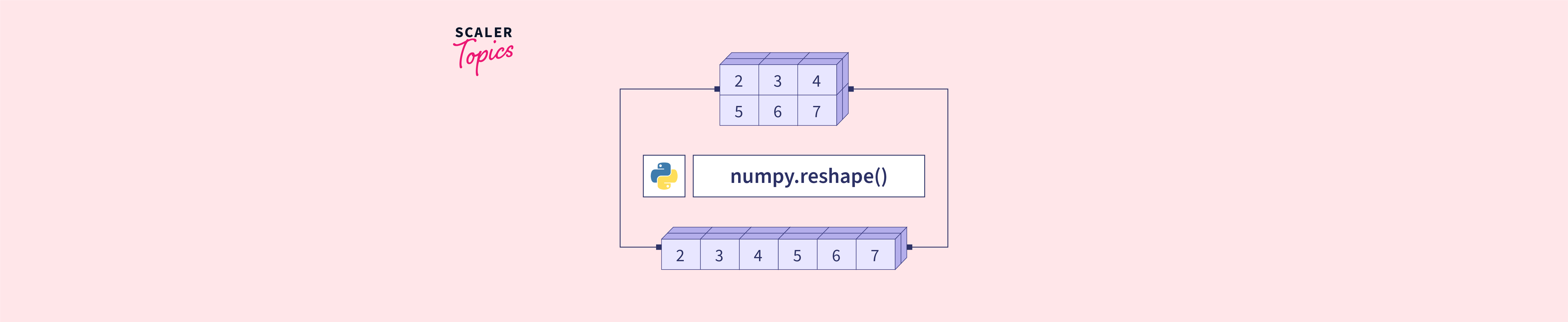 Numpy Reshape In Python Scaler Topics