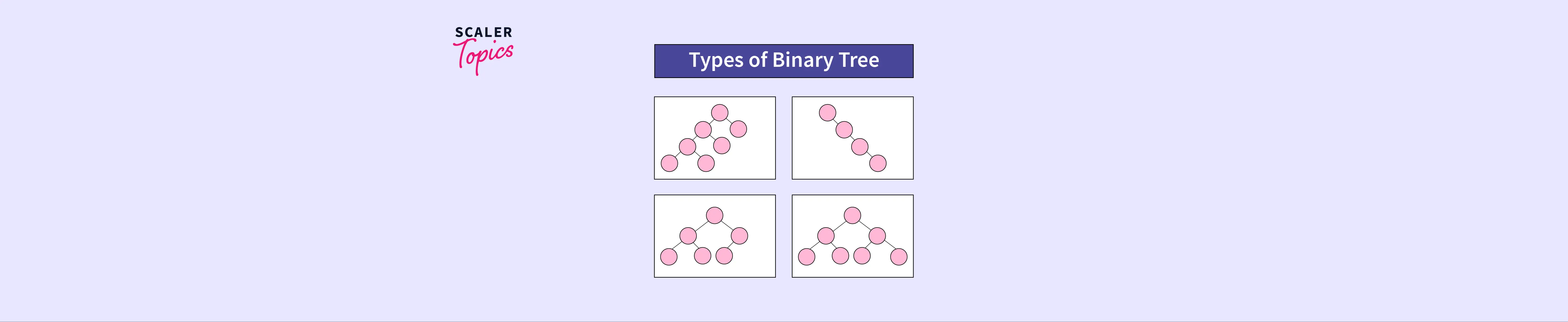 Types Of Binary Tree Scaler Topics