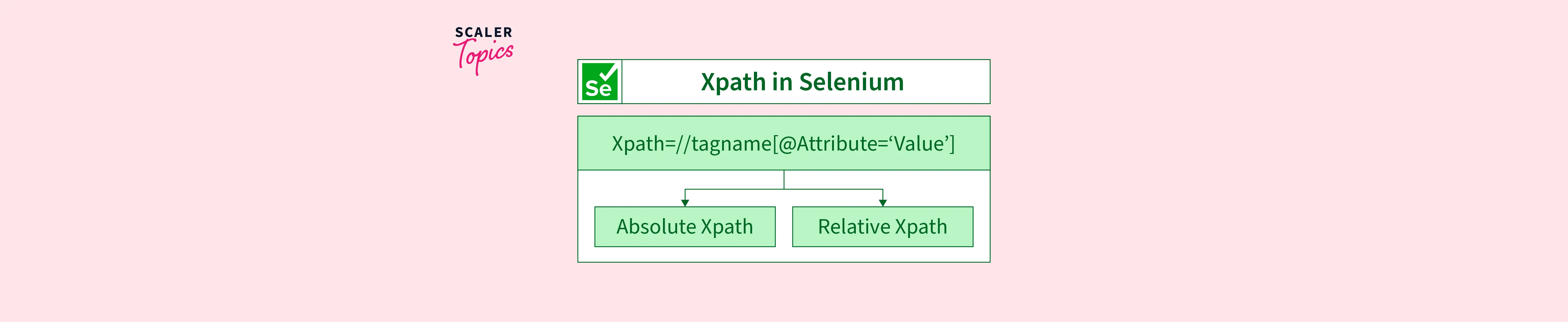 Xpath In Selenium Scaler Topics