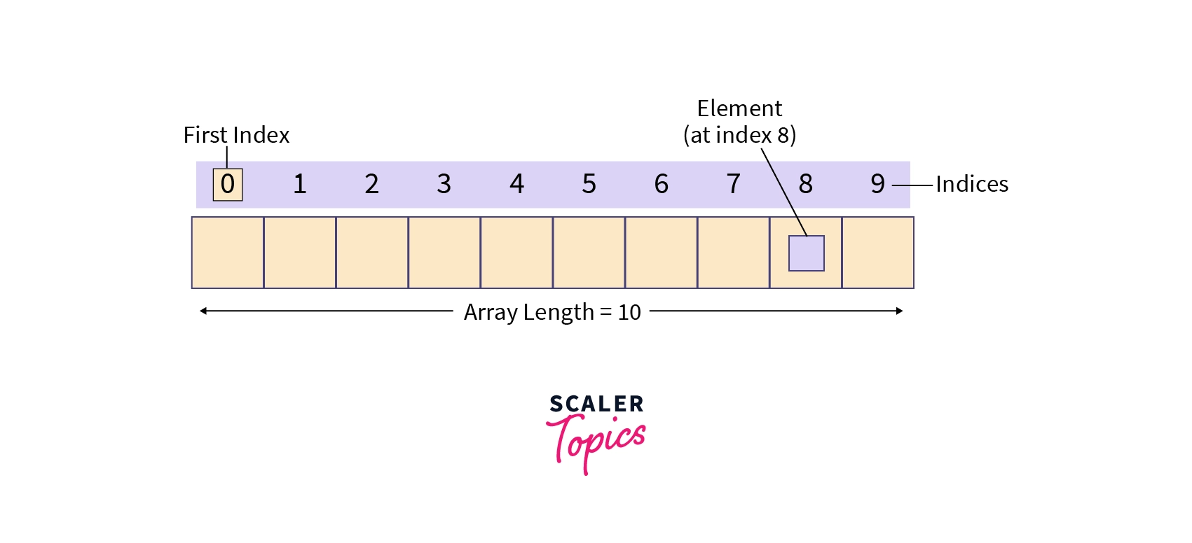 example of 1-d array
