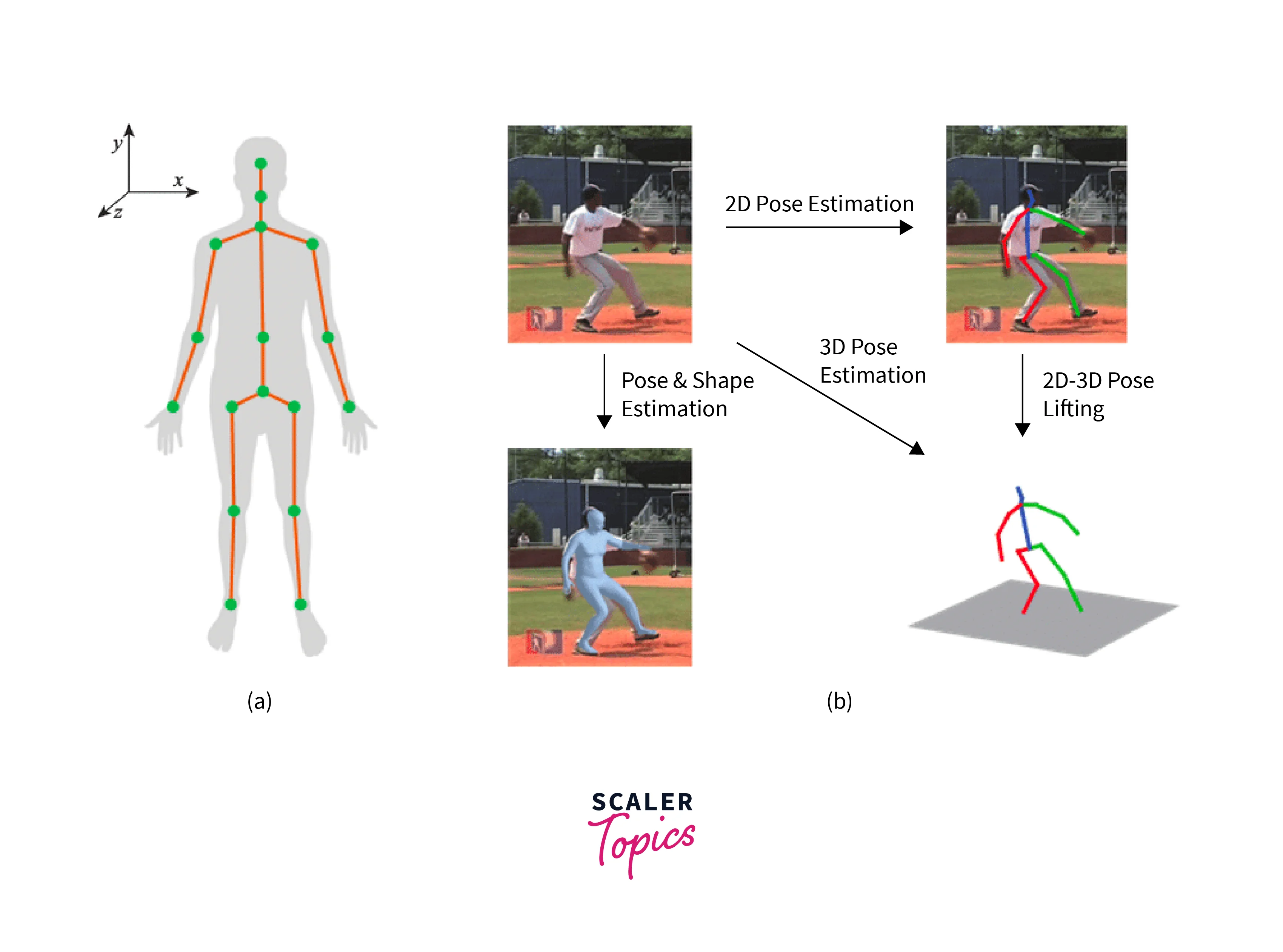 Learning 3D Human Pose Estimation from Dozens of Datasets by Bridging  Skeleton Formats (WACV'23) - YouTube