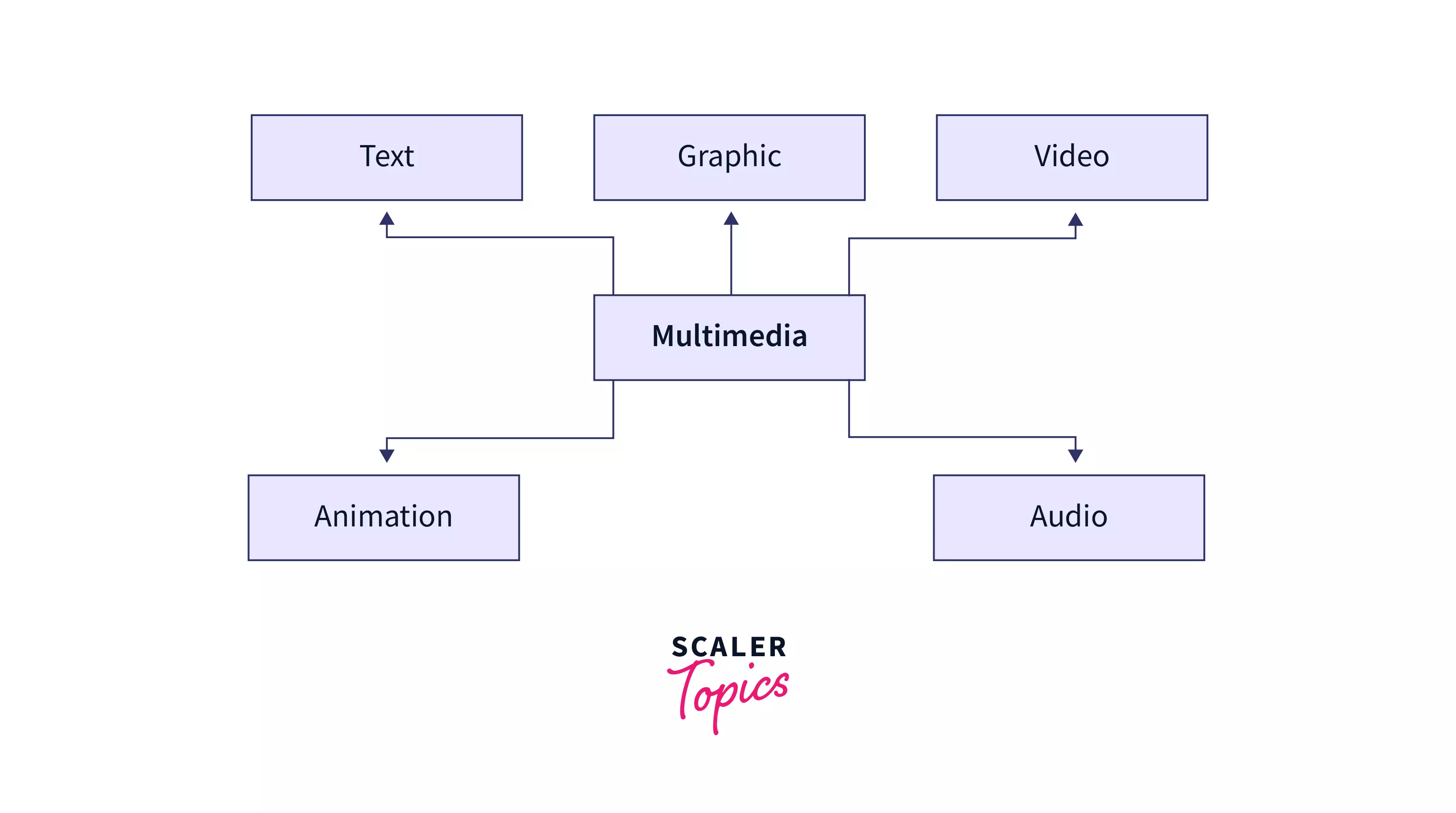 What are the 4 types of multimedia data?