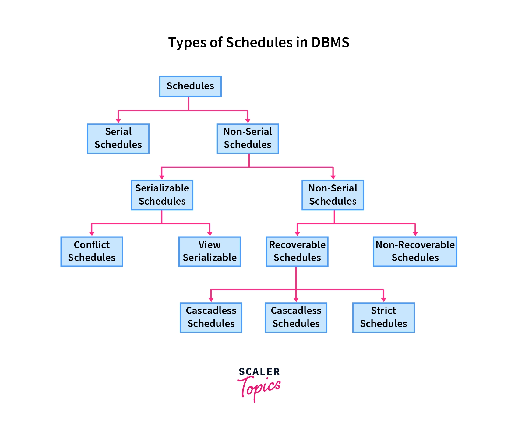 Serializability DBMS