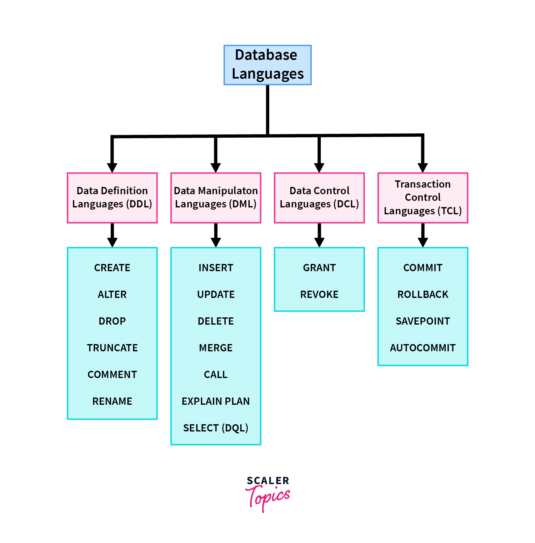 Types of Database Languages