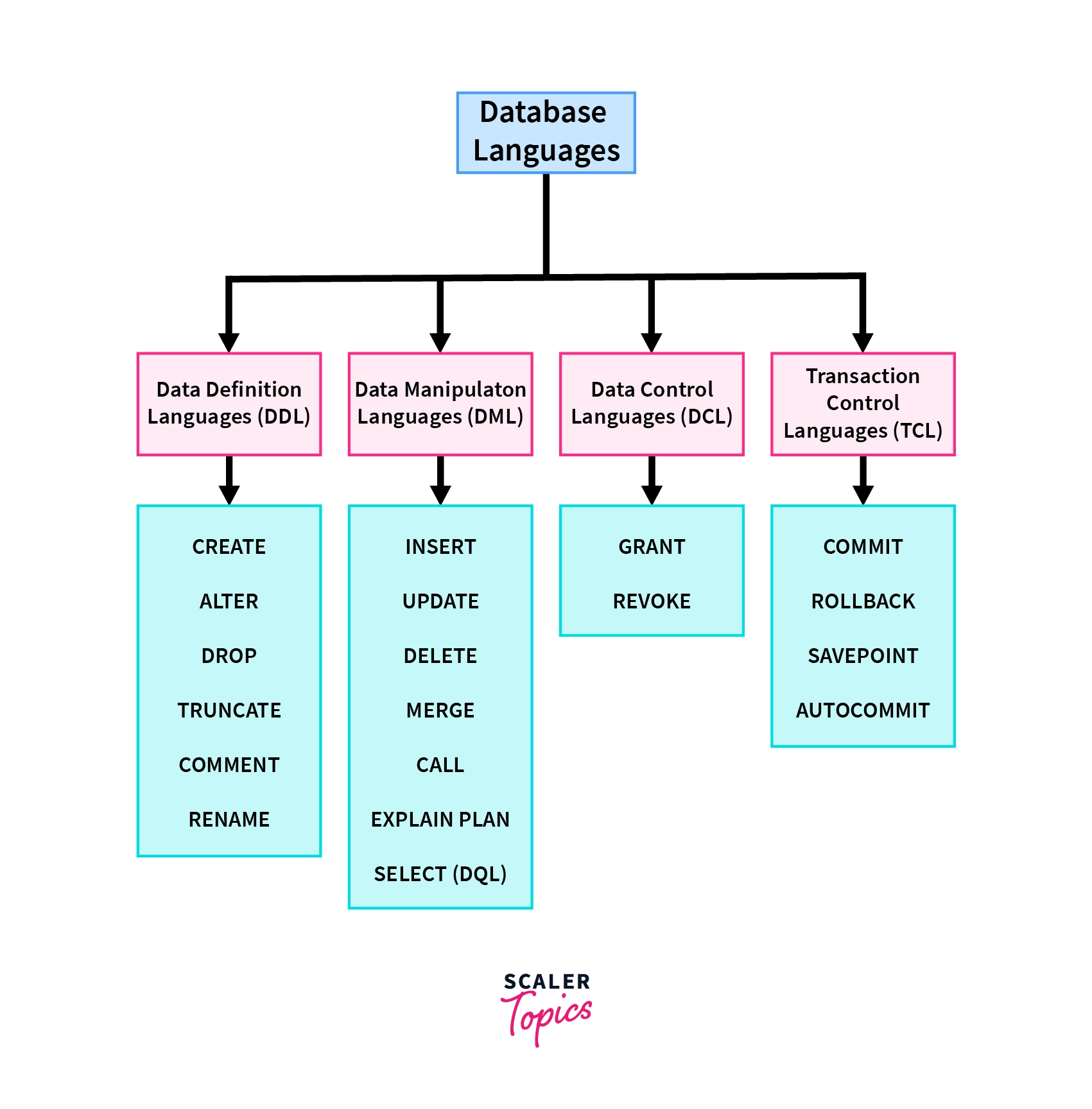 database-languages-in-dbms-scaler-topics