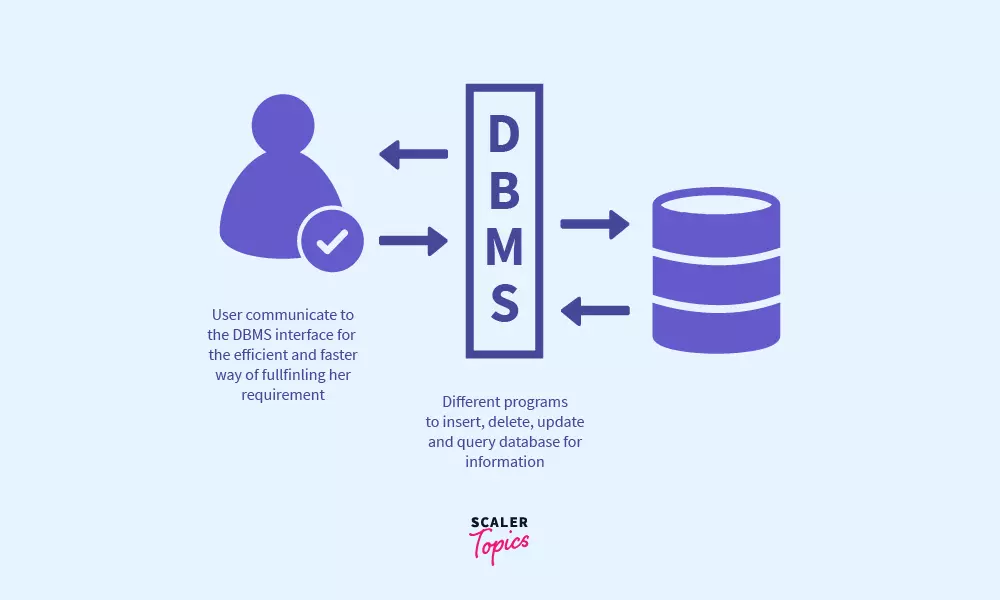 What is DBMS