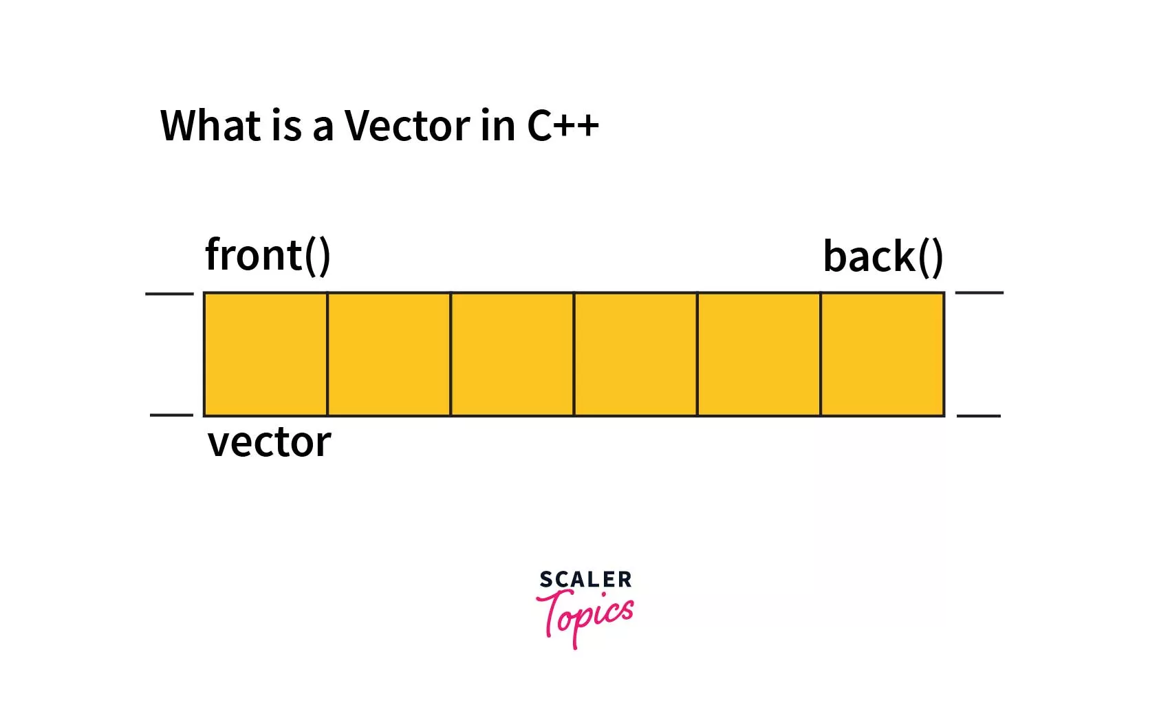 What is Vector