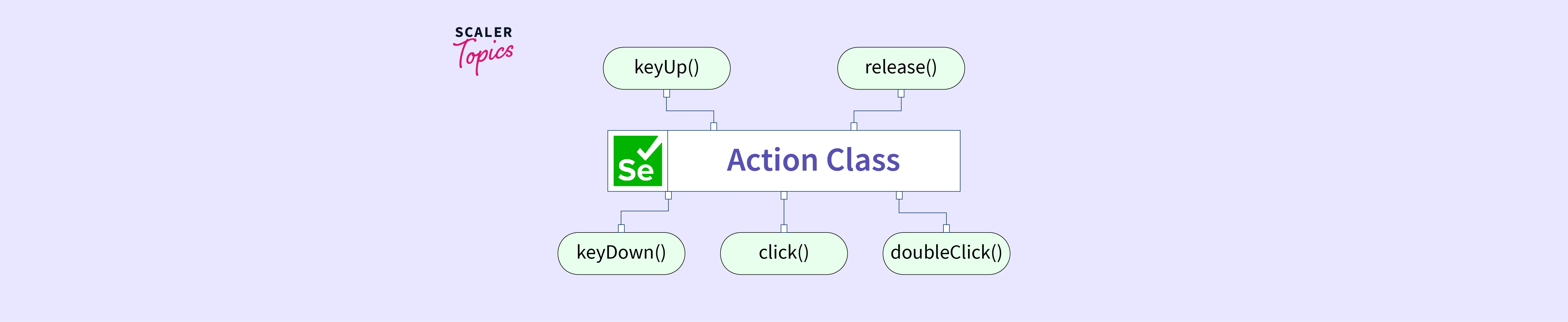 action-class-in-selenium-scaler-topics