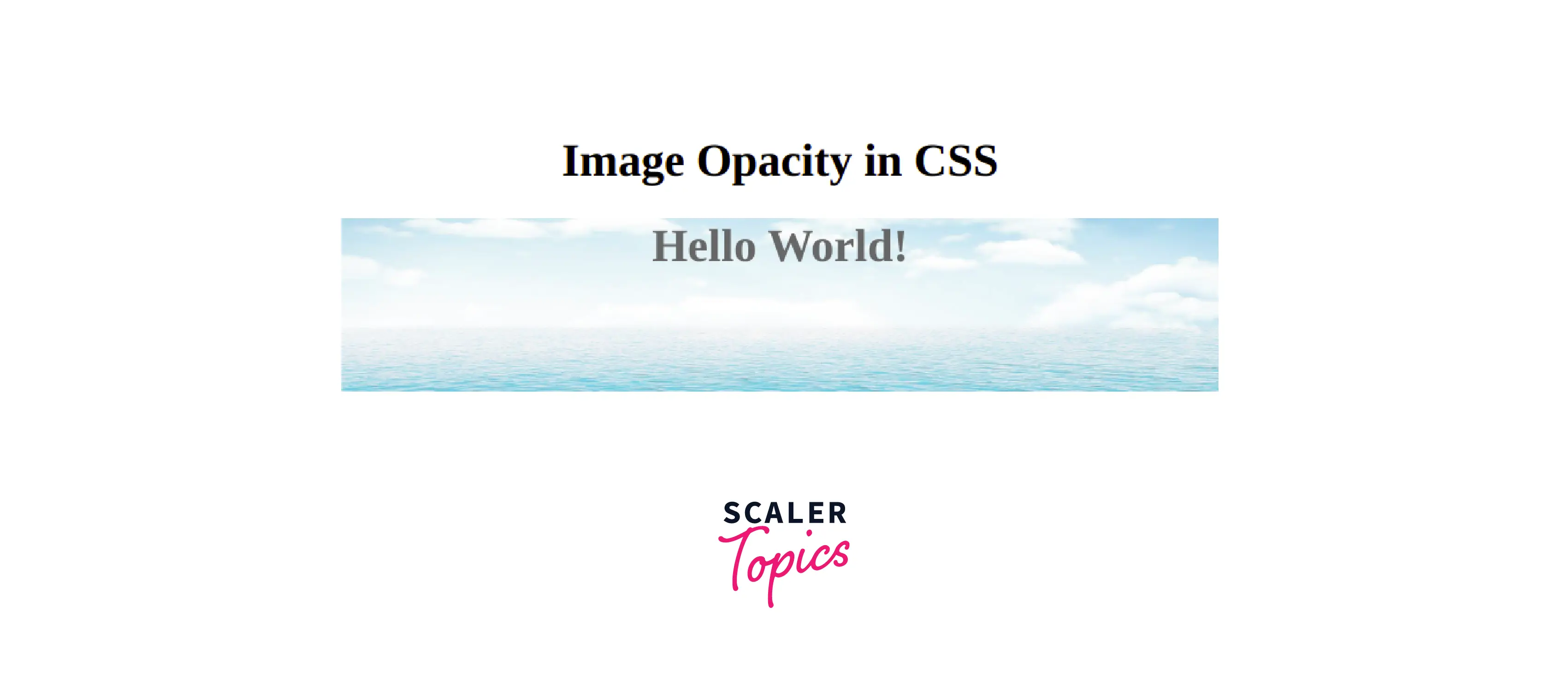 How to Change Background Image Opacity in CSS - Scaler Topics