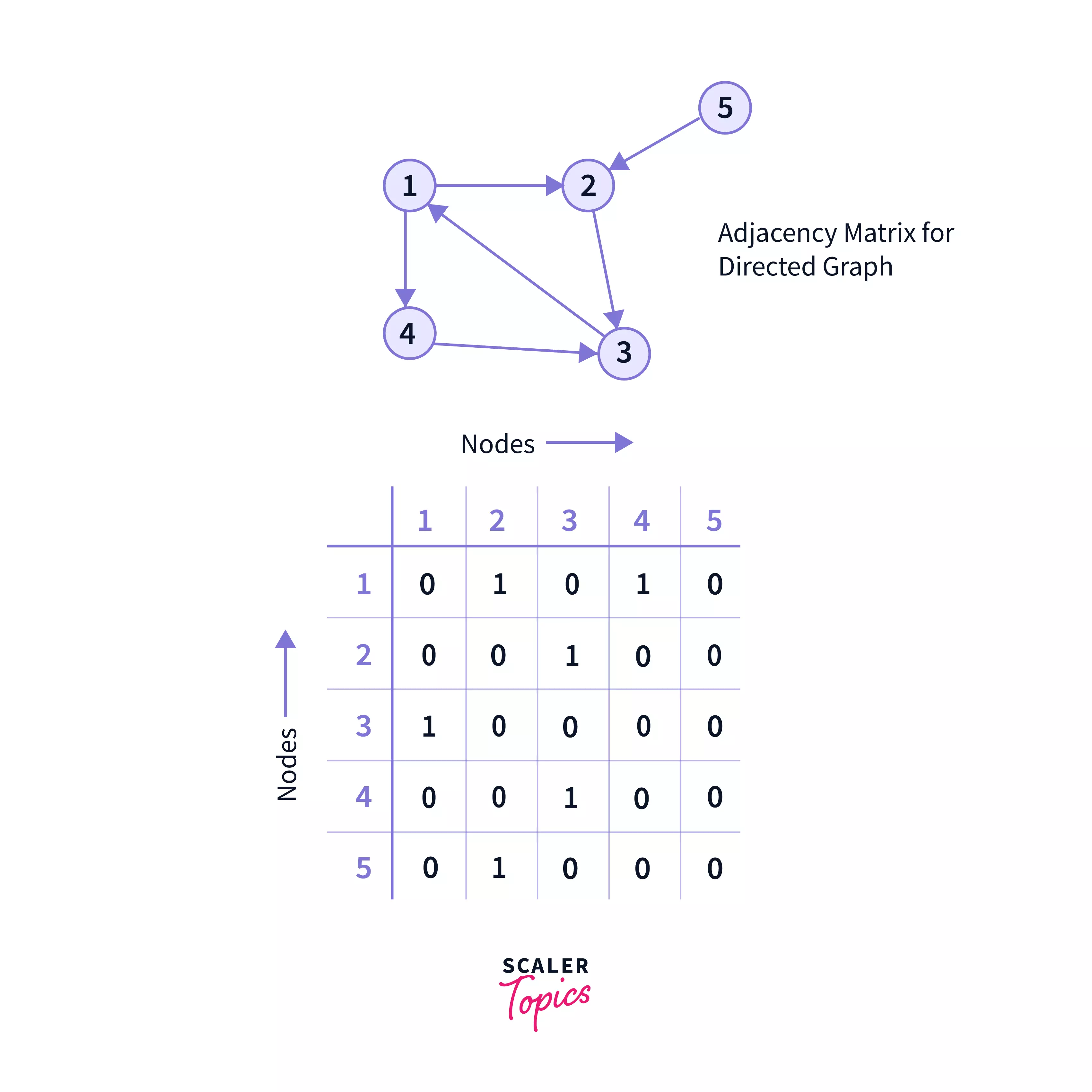 adjacency Matrix for a directed graph