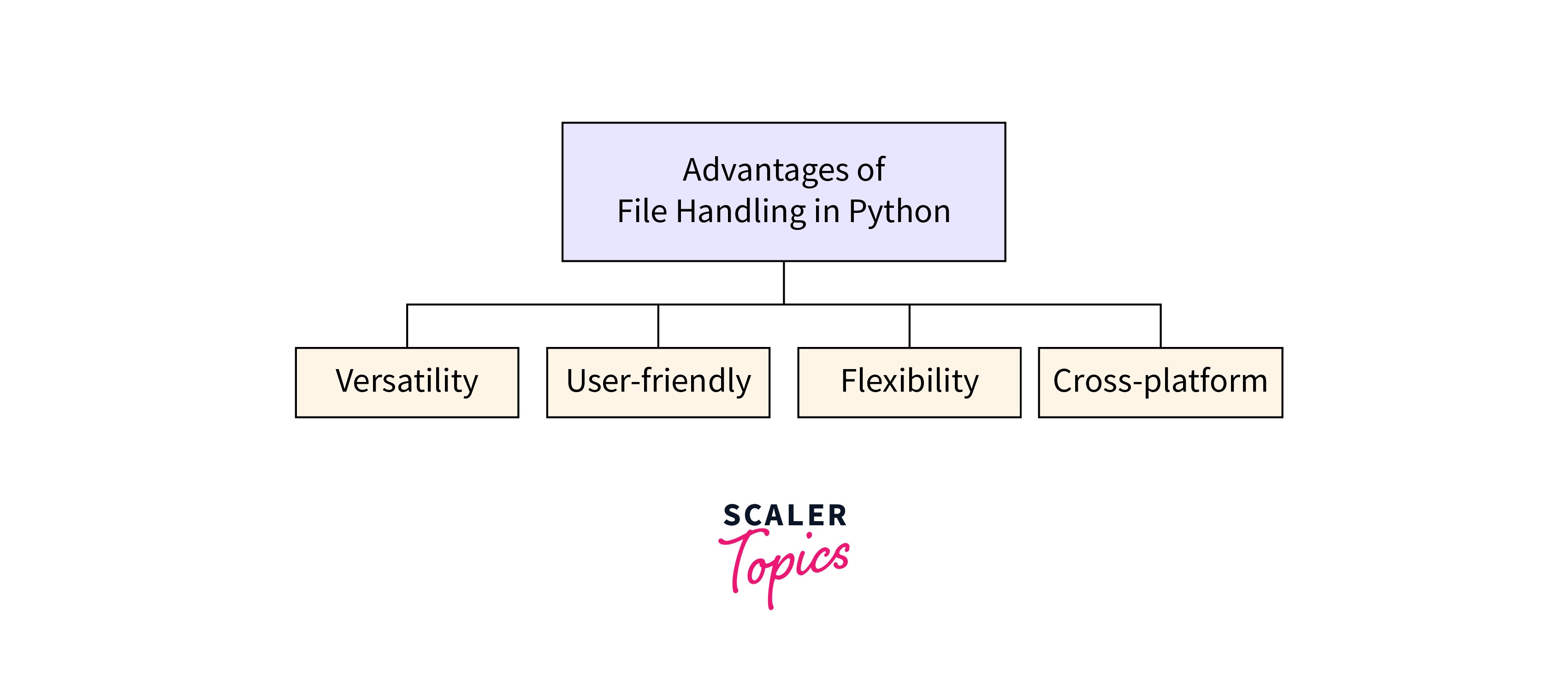 Advantages of File Handling in Python