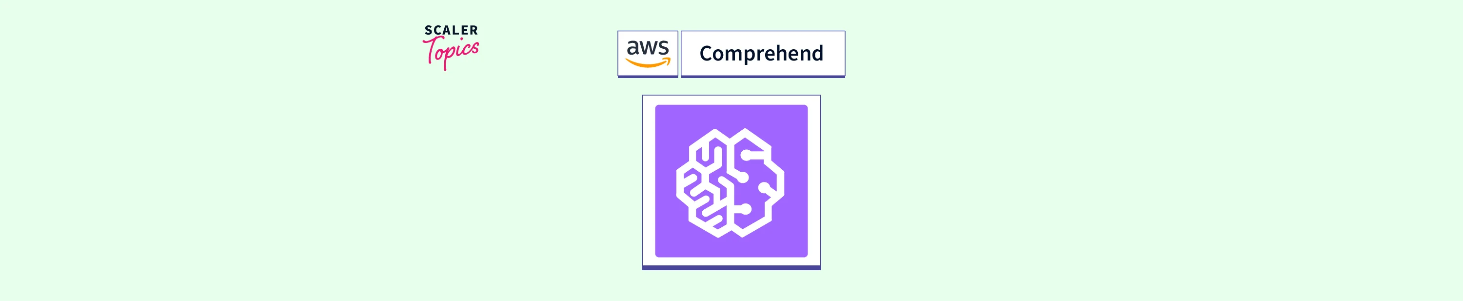 Amazon Comprehend - Scaler Topics