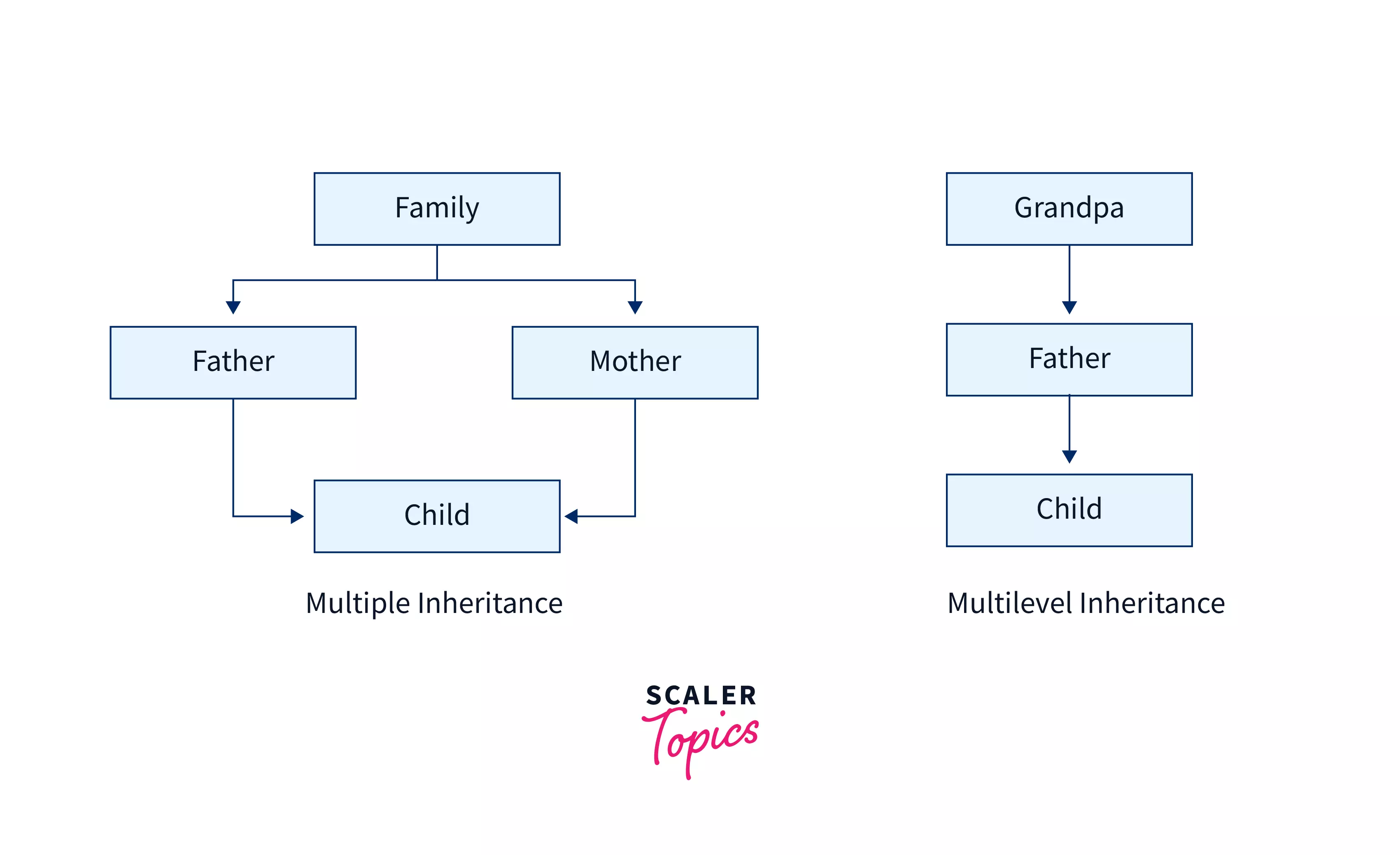 ANALOGY IMAGE SHOWING HOW MULTIPLE INHERITANCE IS DIFFERENT FROM MULTILEVEL INHERITANCE