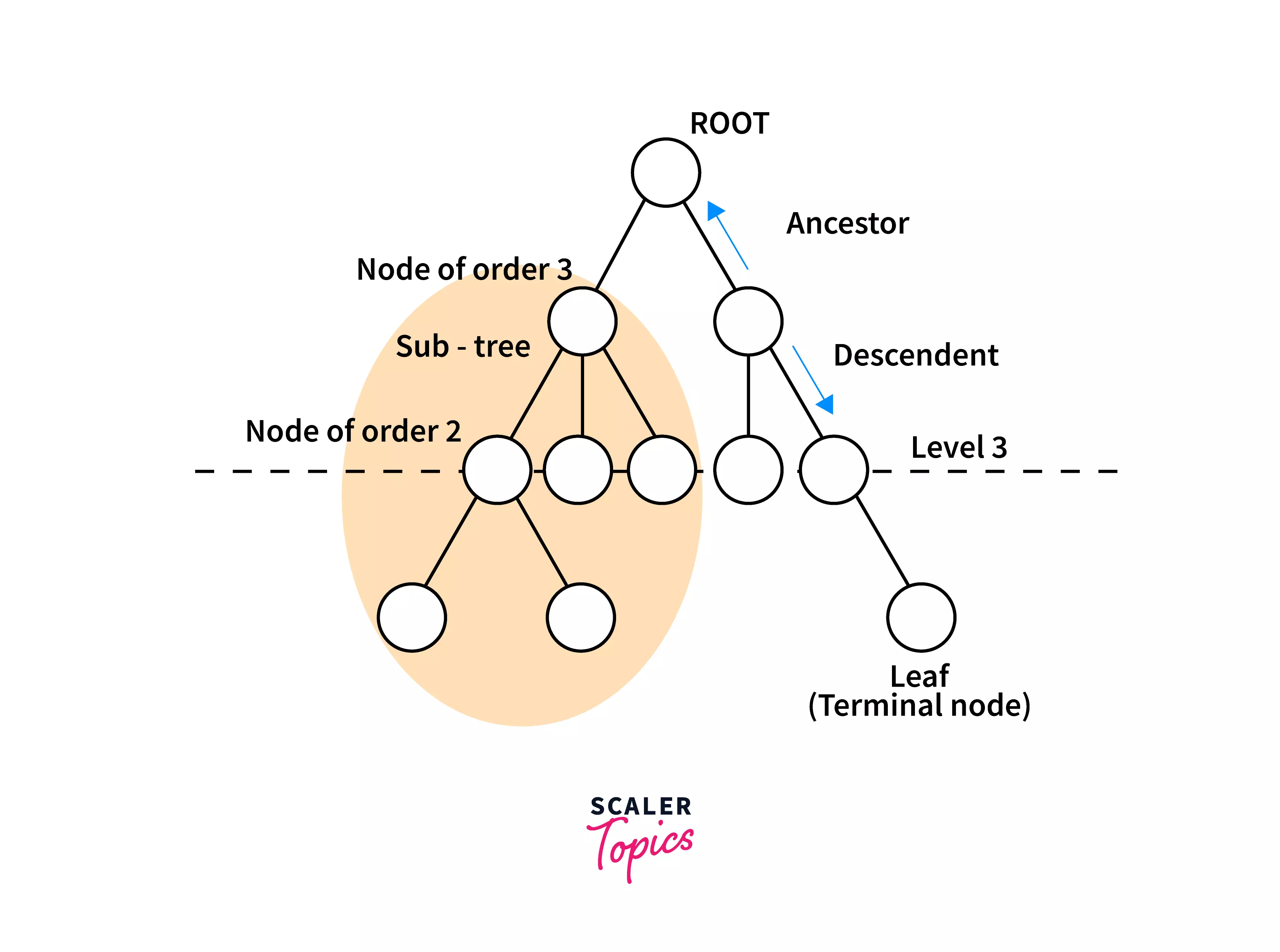 ancestors-tree-terminology