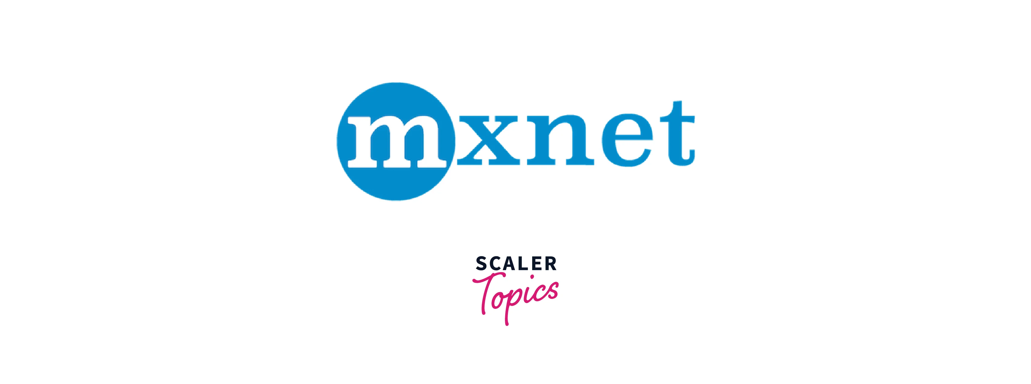 Apache mxnet