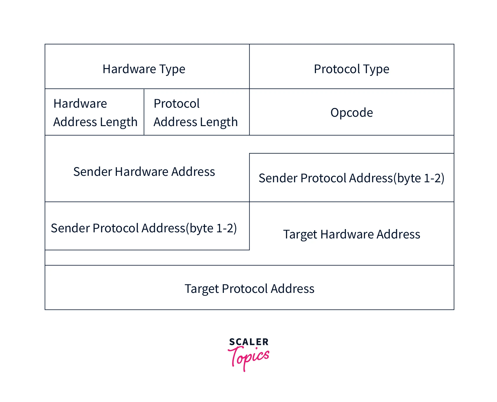 arp packet structure