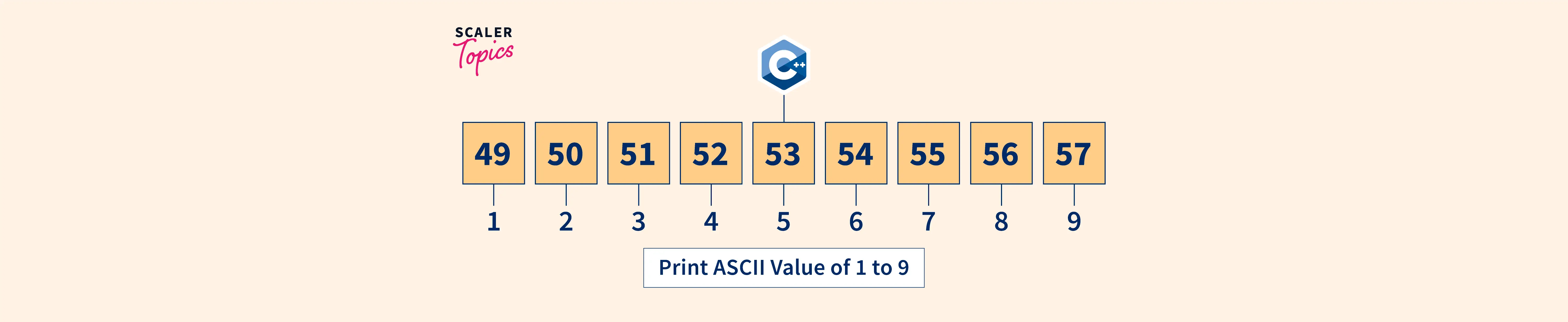 c-program-to-print-ascii-value-of-1-to-9-scaler-topics