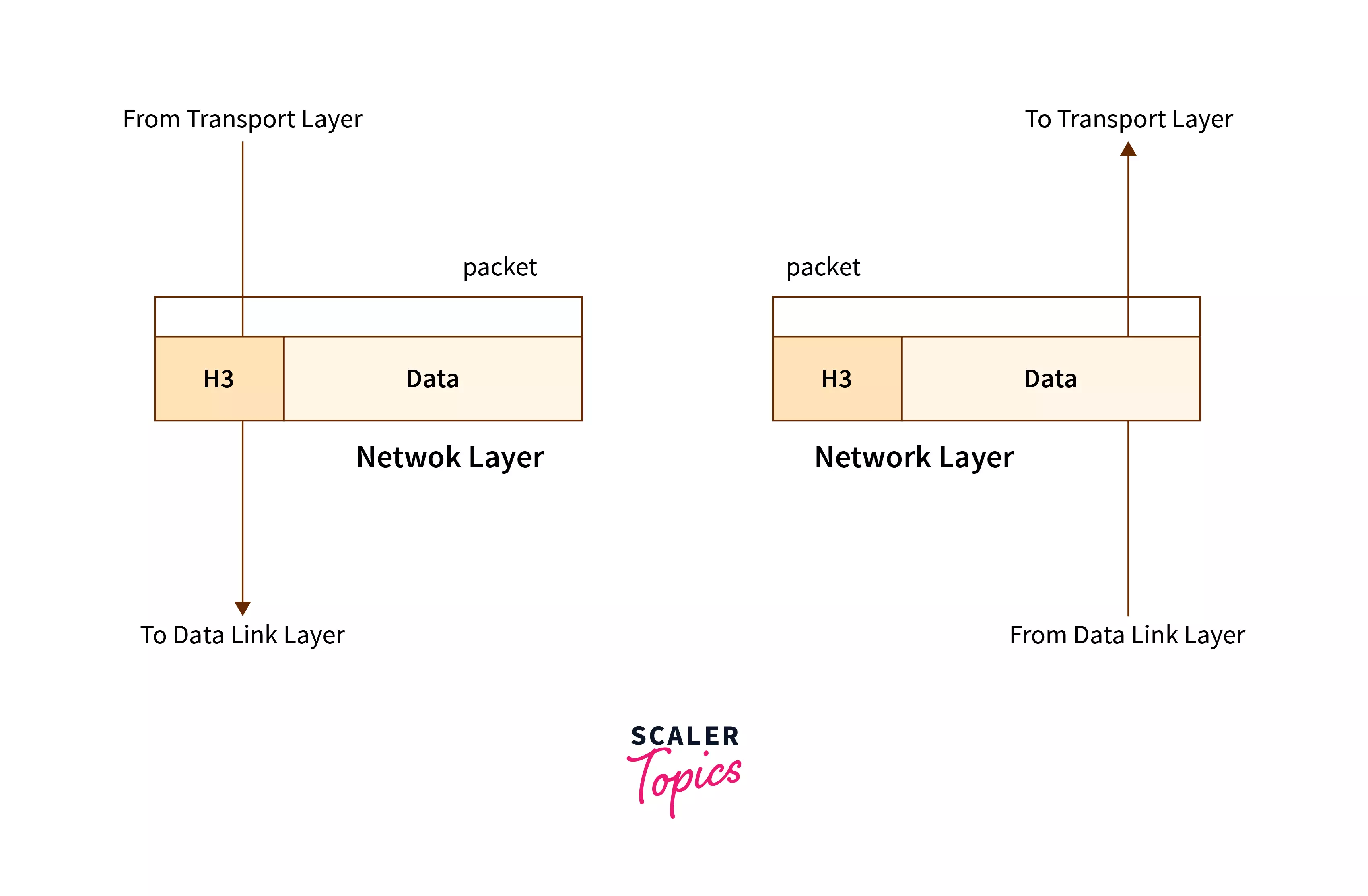 basic transmission of data and working of the network layer