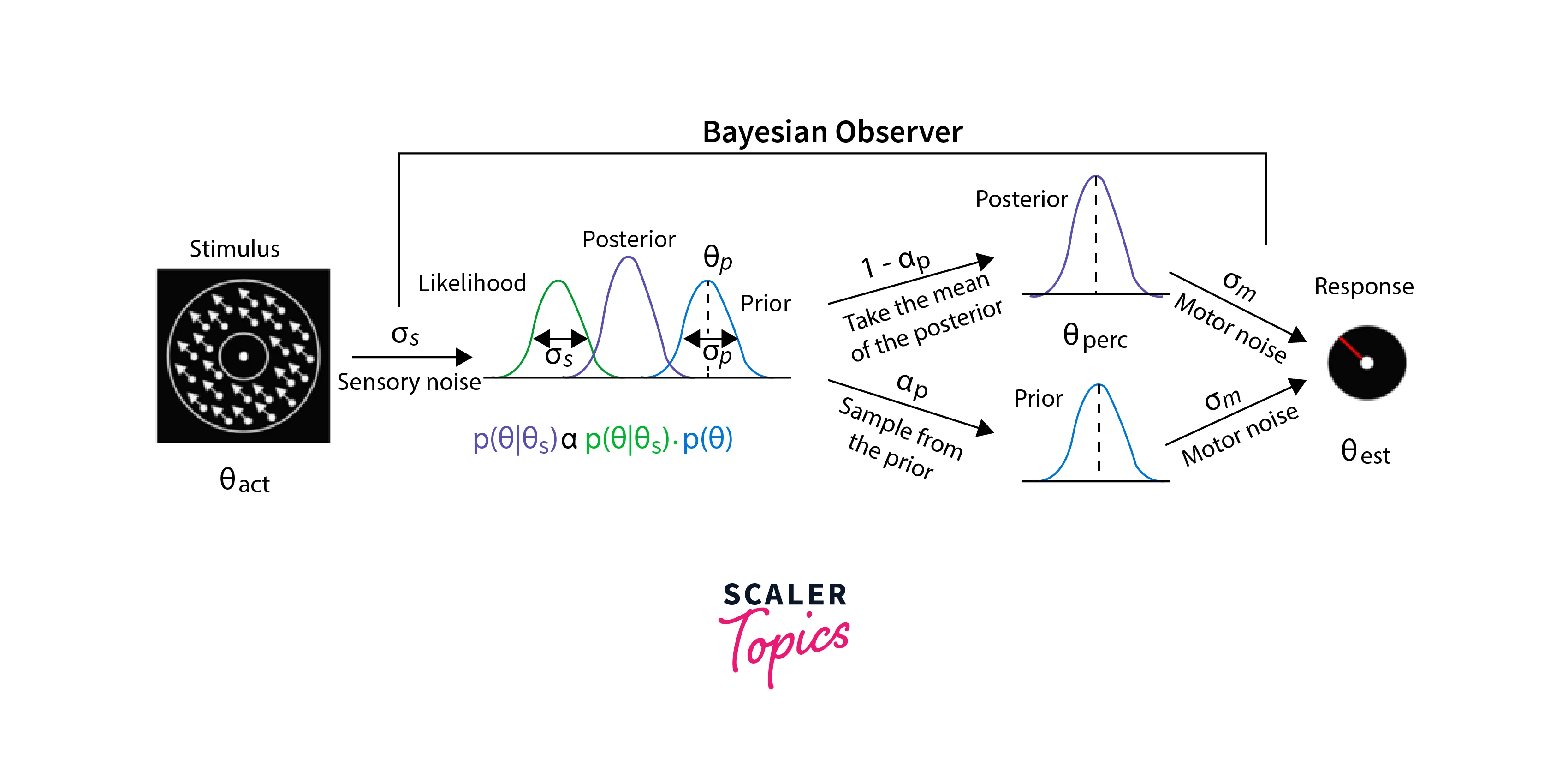 Bayesian Modeling
