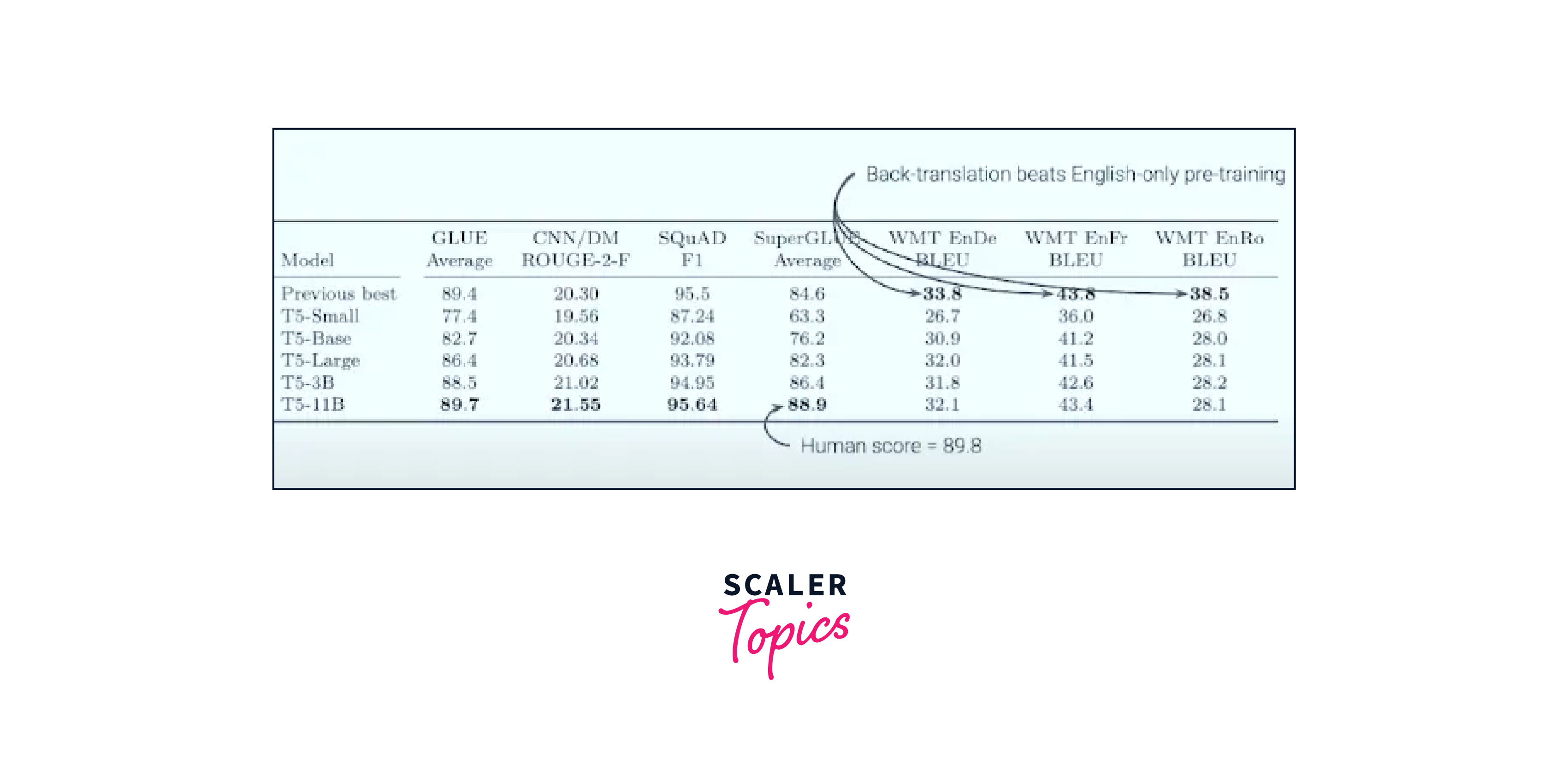 benchmarking t5 against other language models