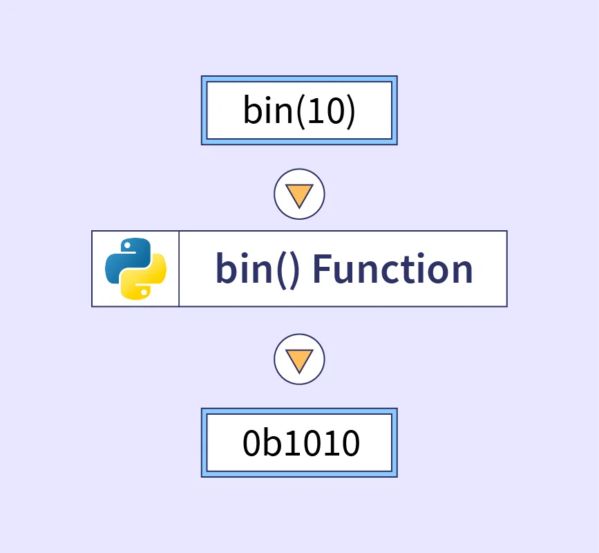 Python bin() Function - Scaler Topics