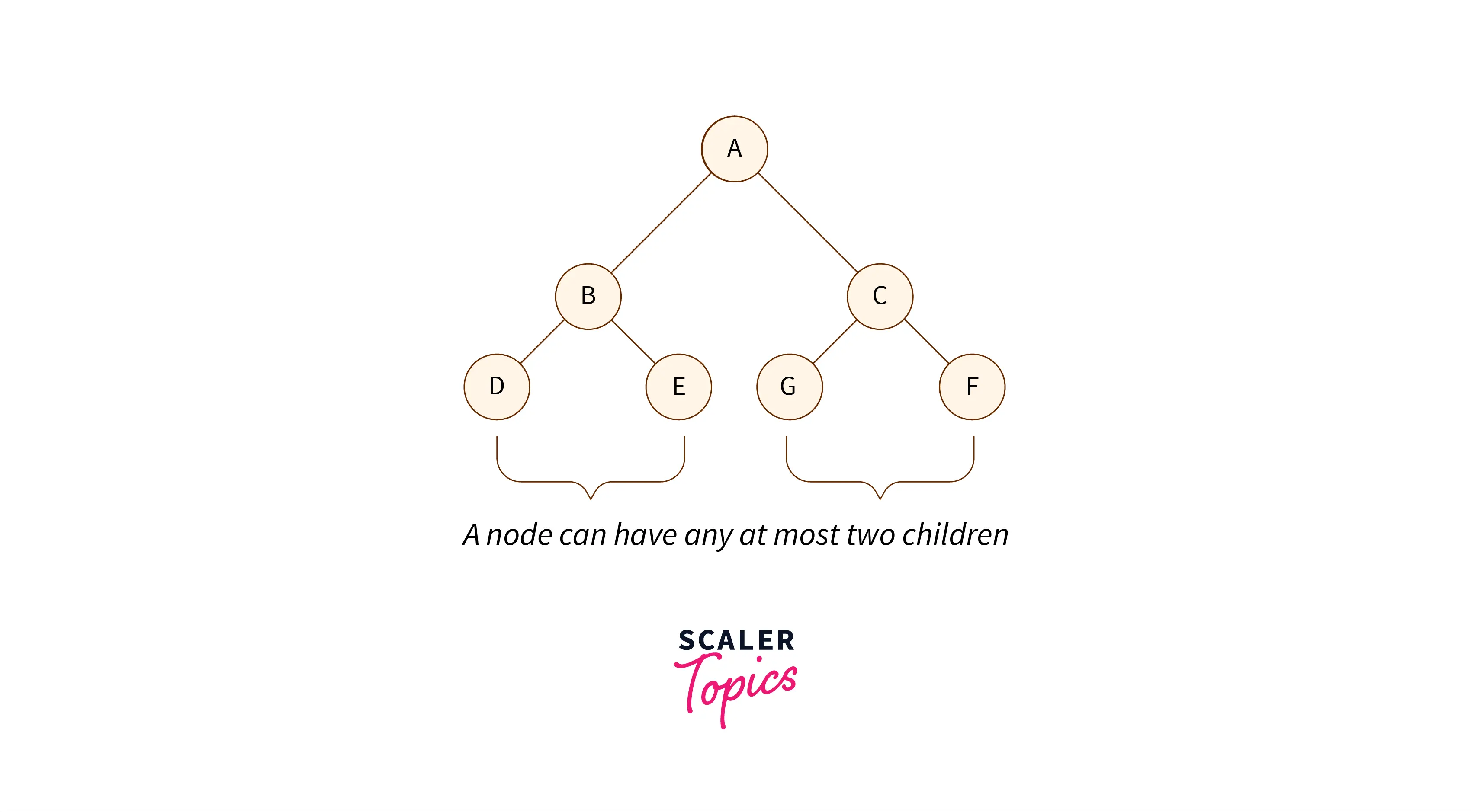Binary Tree Having Only Two Child Nodes