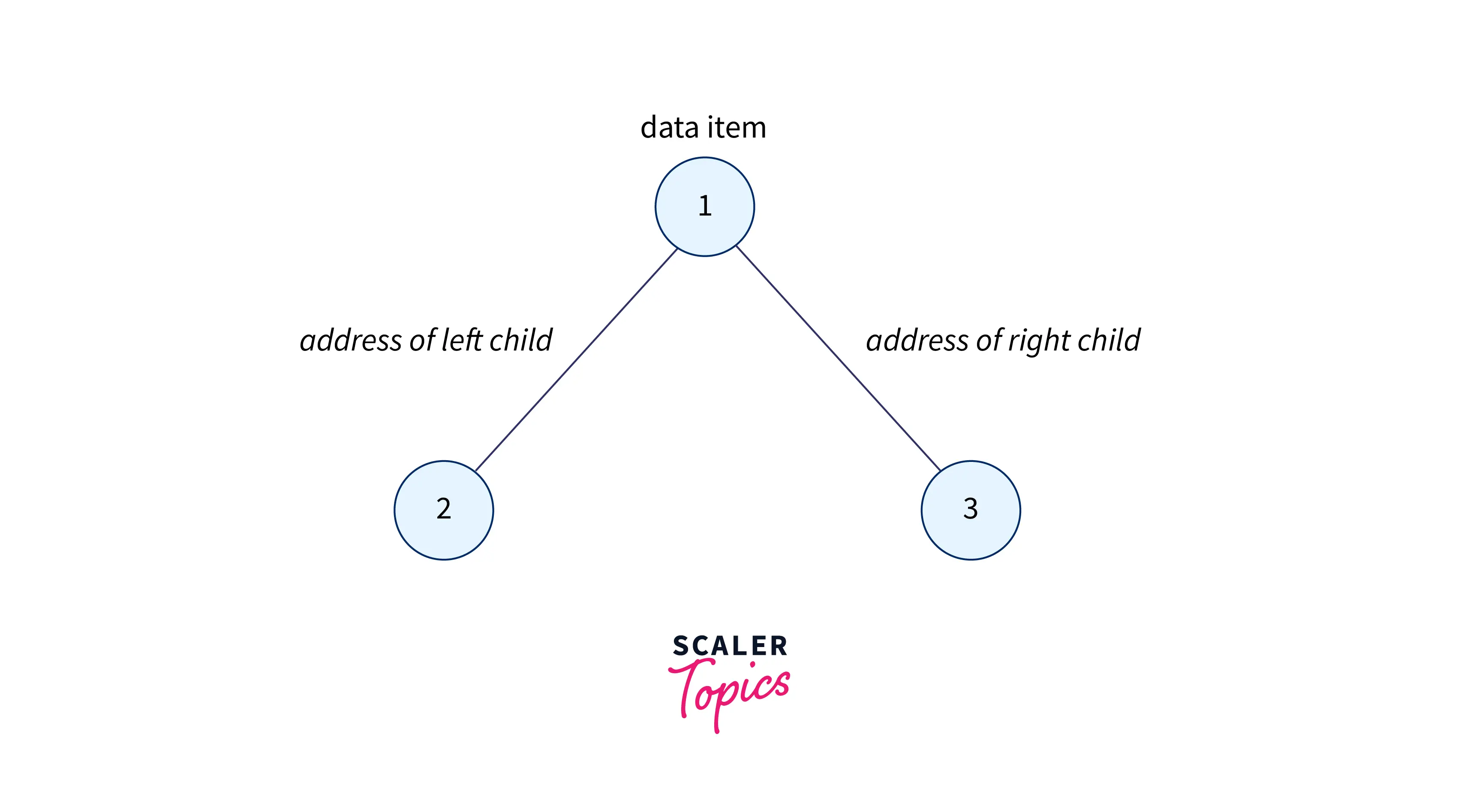 binary-tree-showing-components-of-node