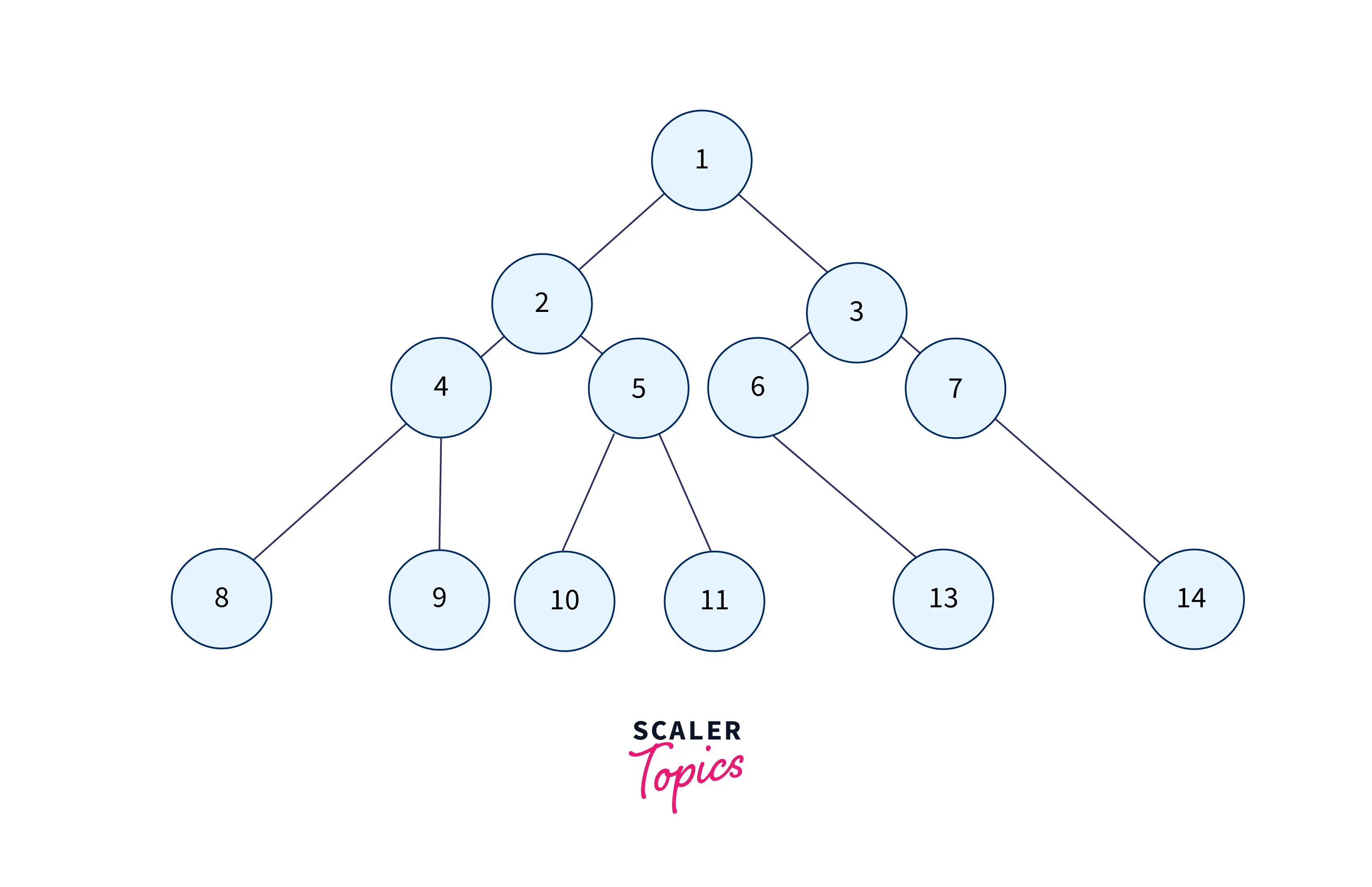 binary-tree-showing-nodes