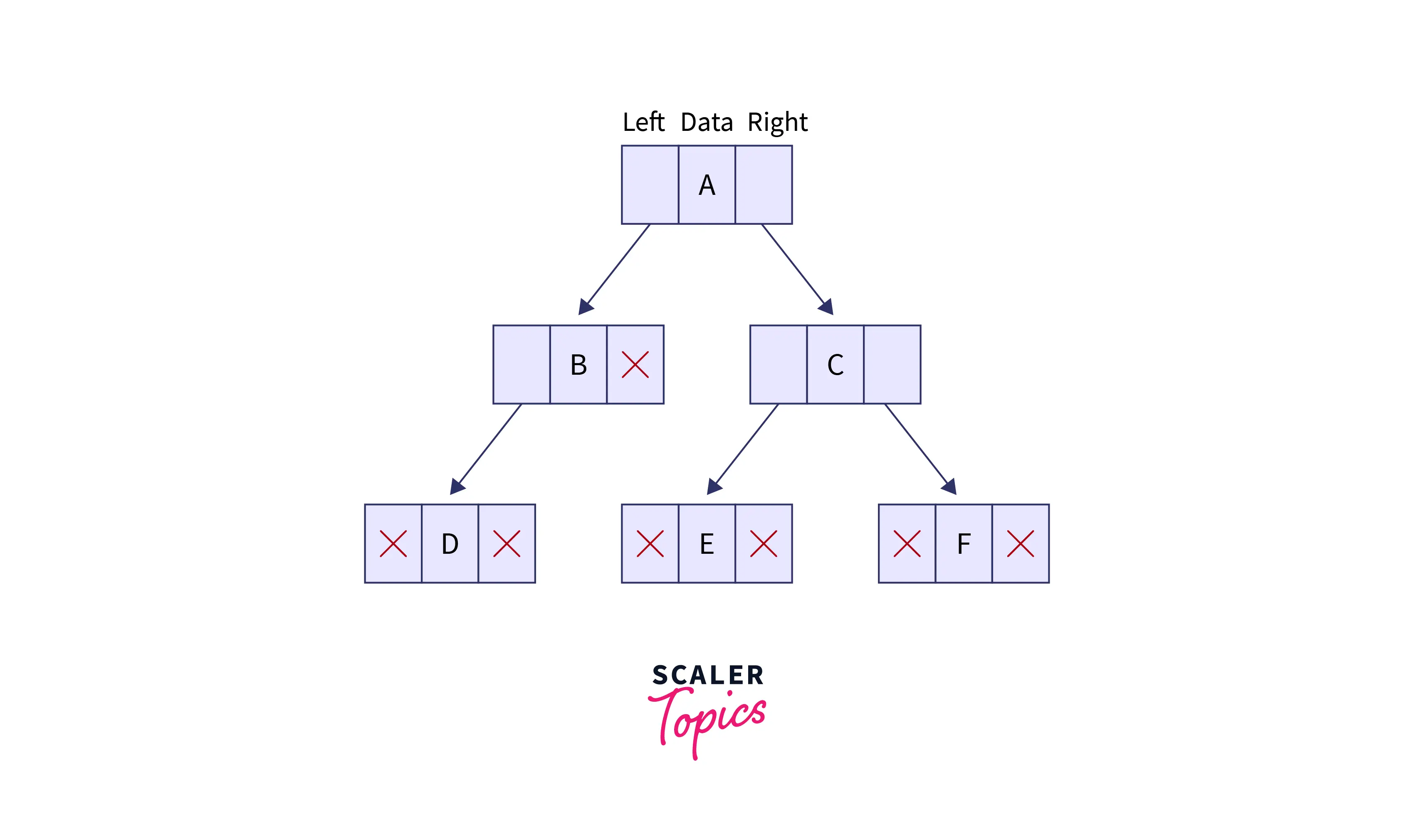 Types of Trees in Data Structures - Scaler Topics