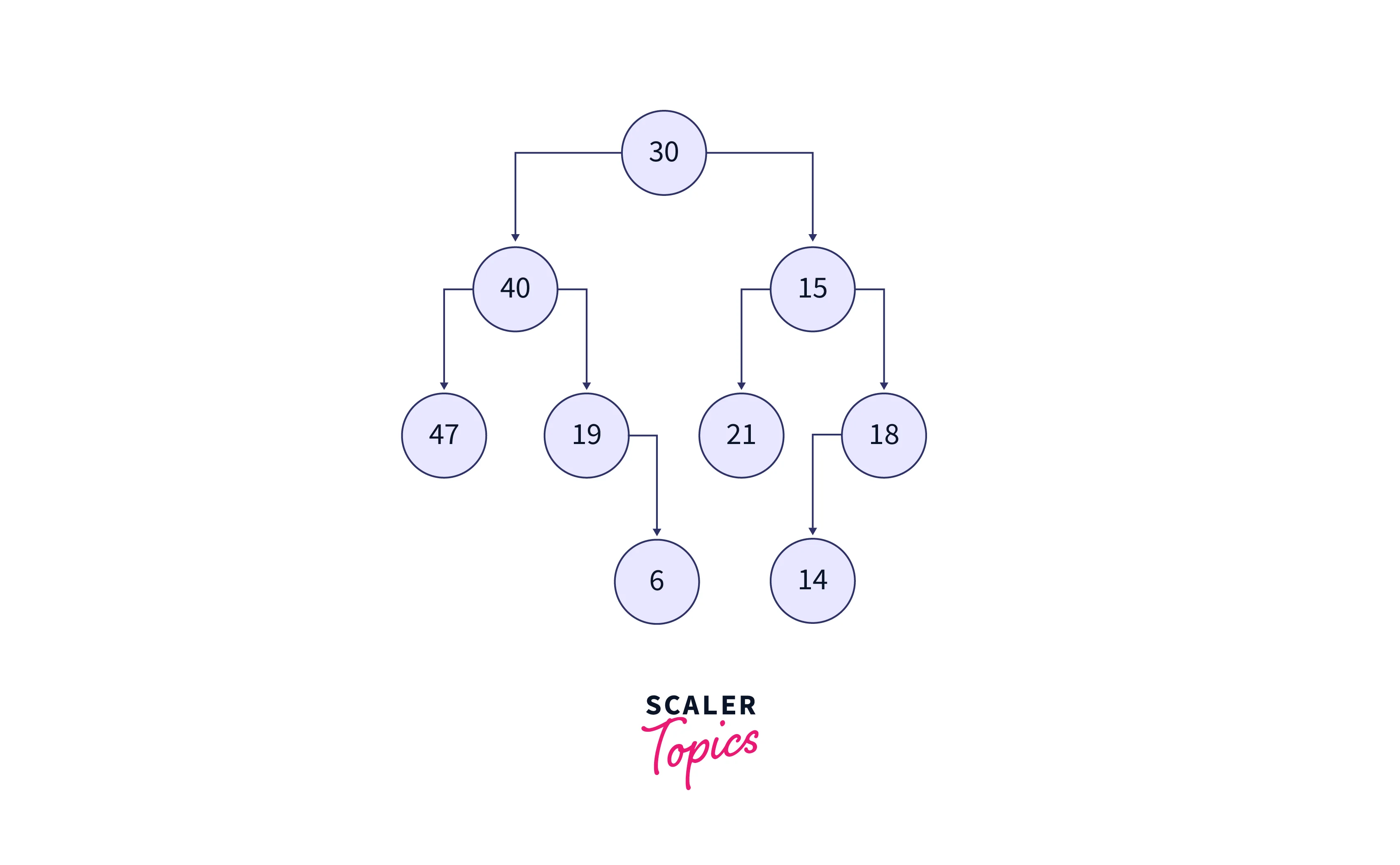 Binary Tree