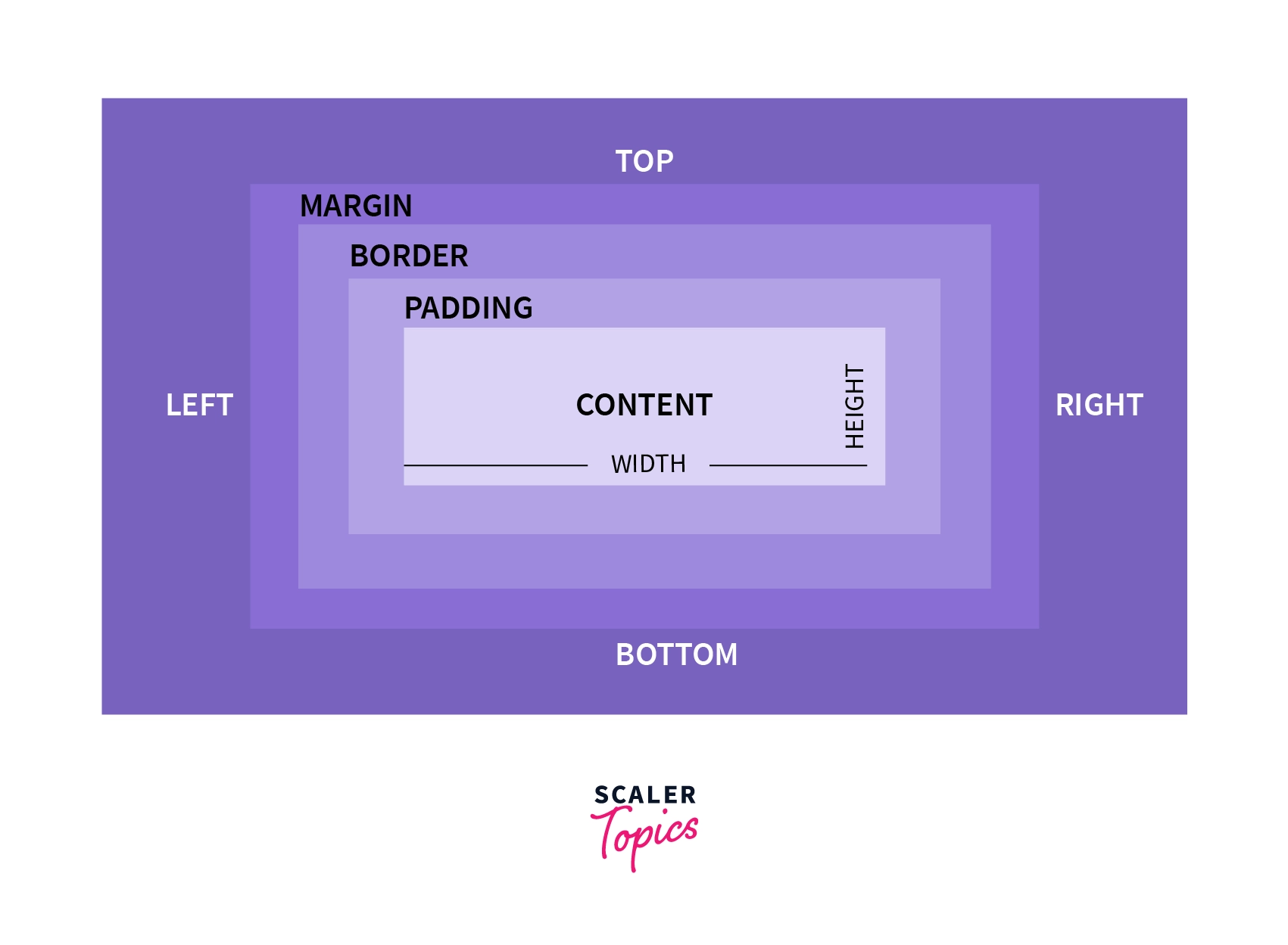 CSS Borders Border in CSS Scaler Topics