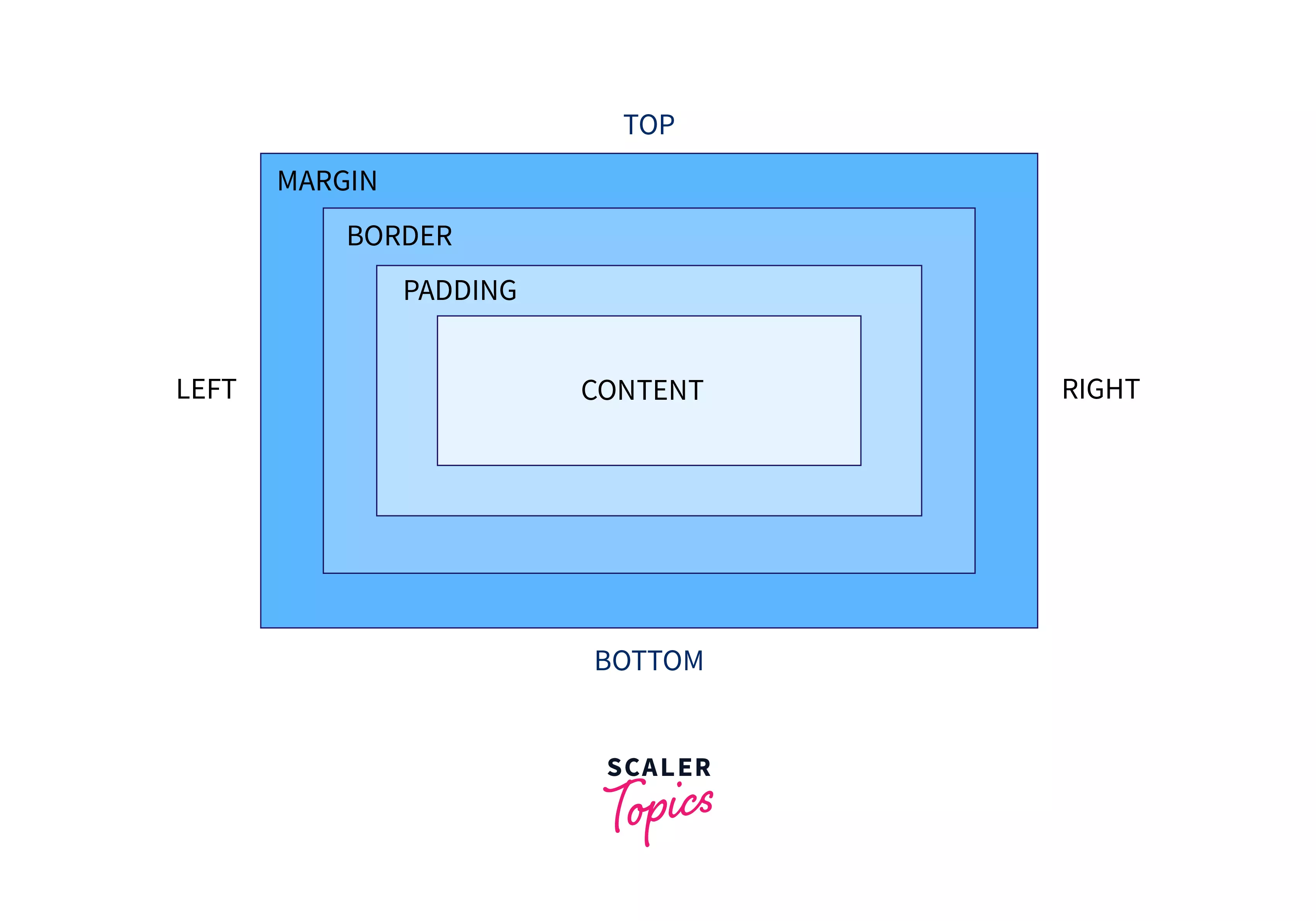 CSS Margin and Padding - Scaler Topics