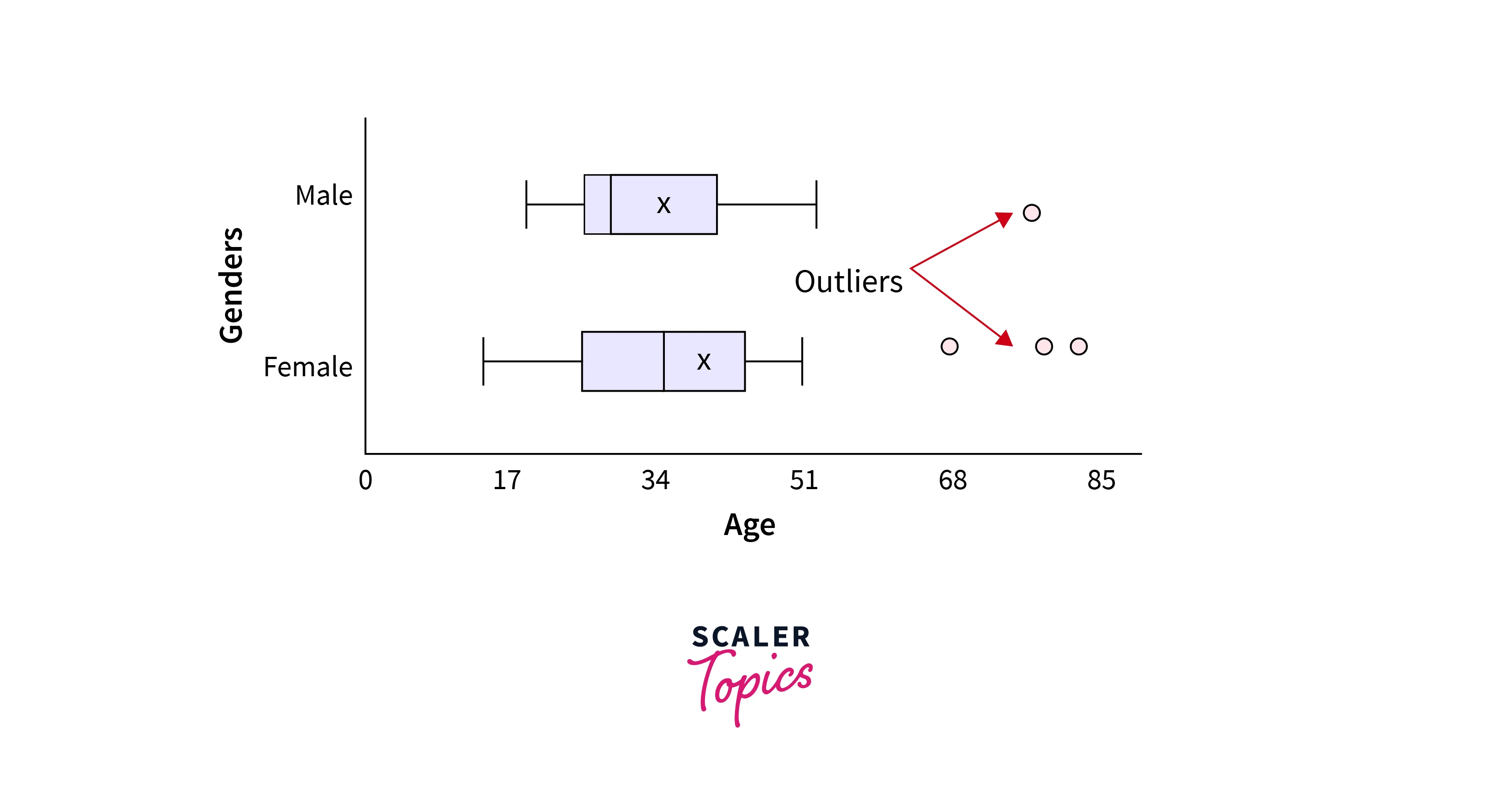 Box Plots