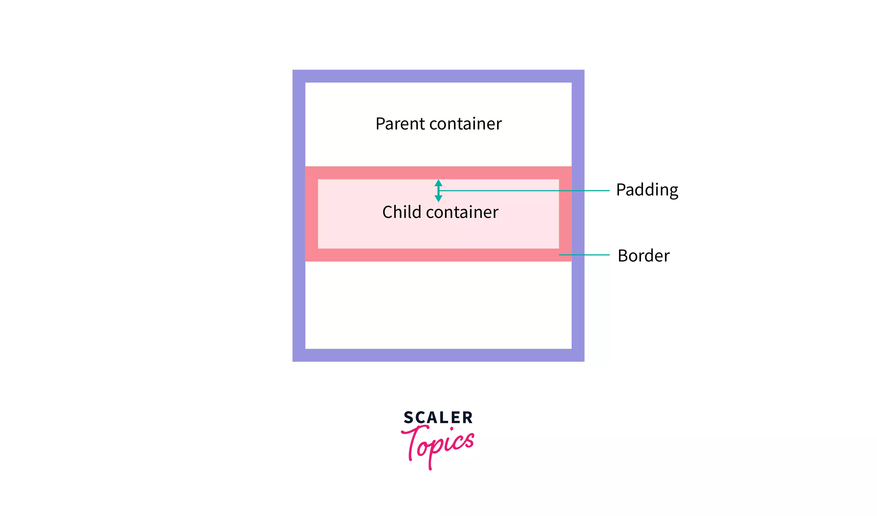 CSS Box Sizing  How to use Box Sizing in CSS With Examples