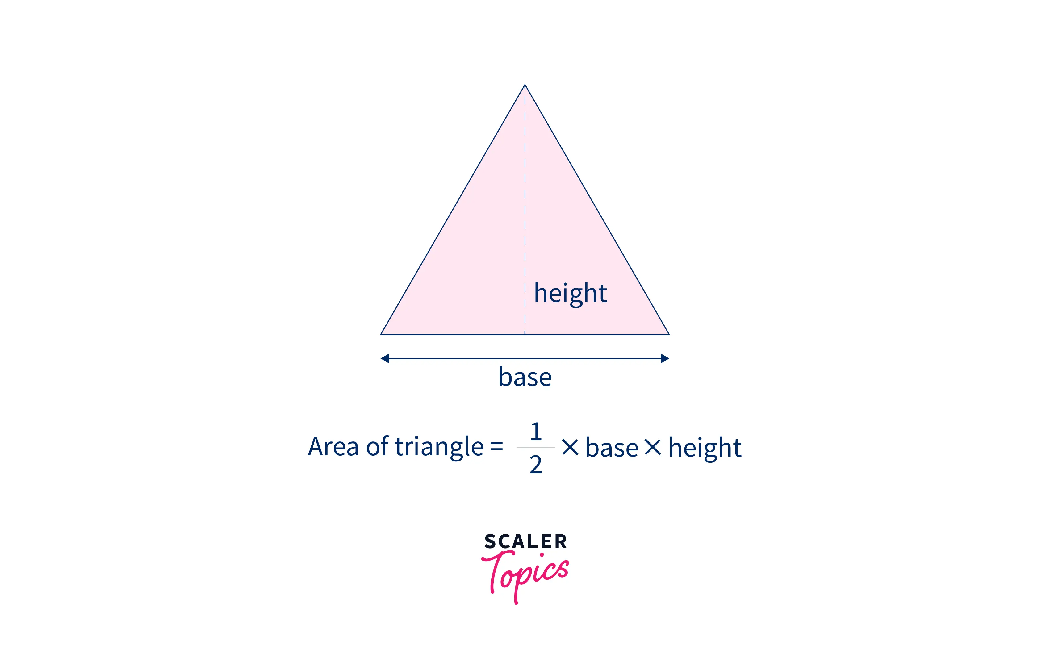 area of triangle using base and height