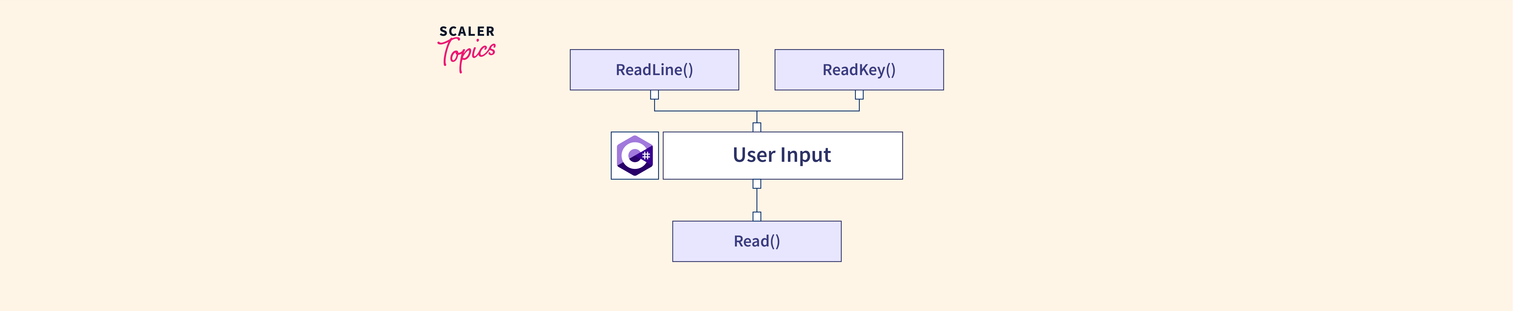 user input c#