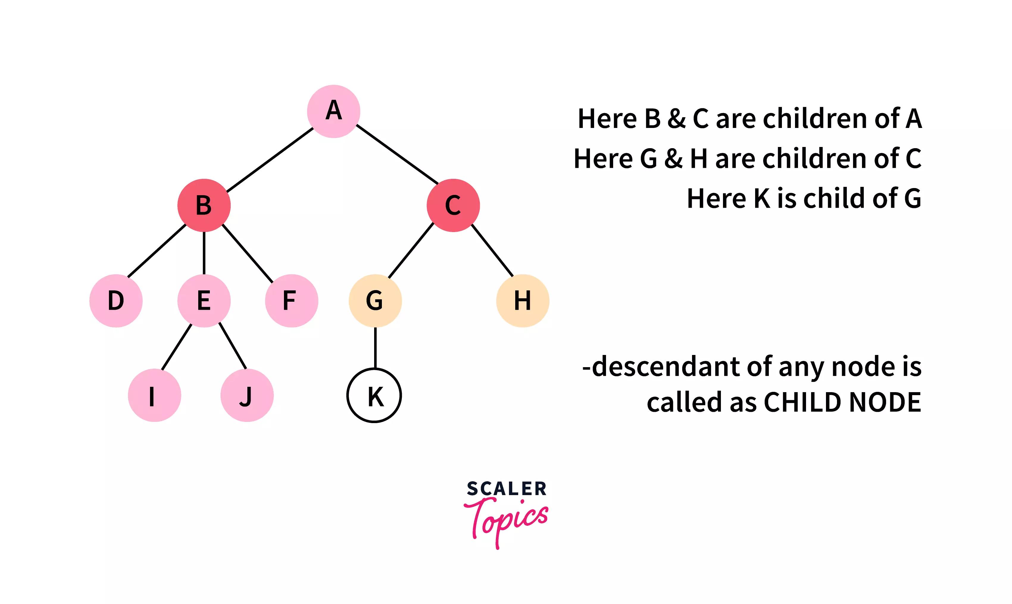 child-tree-terminology
