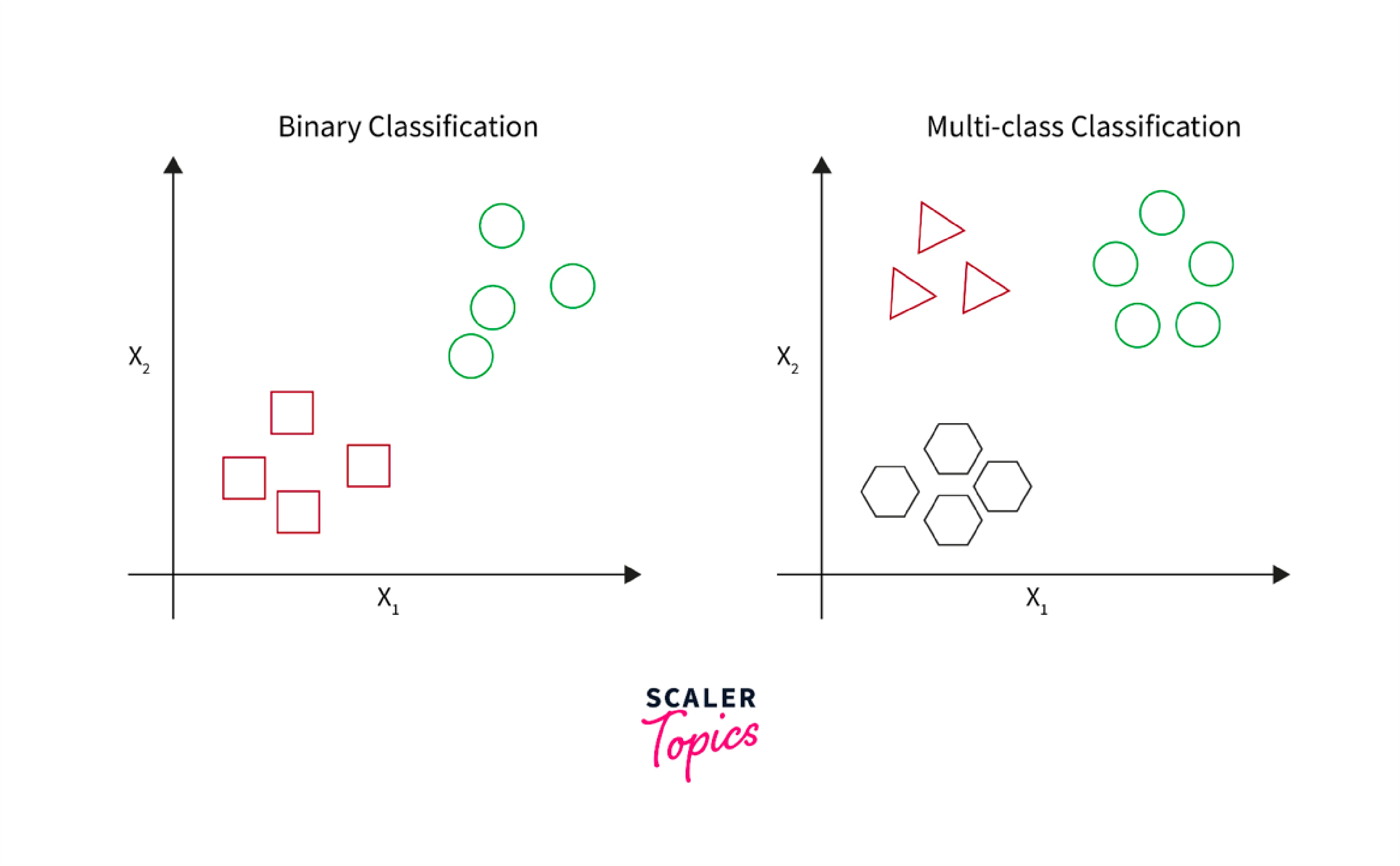 Classification