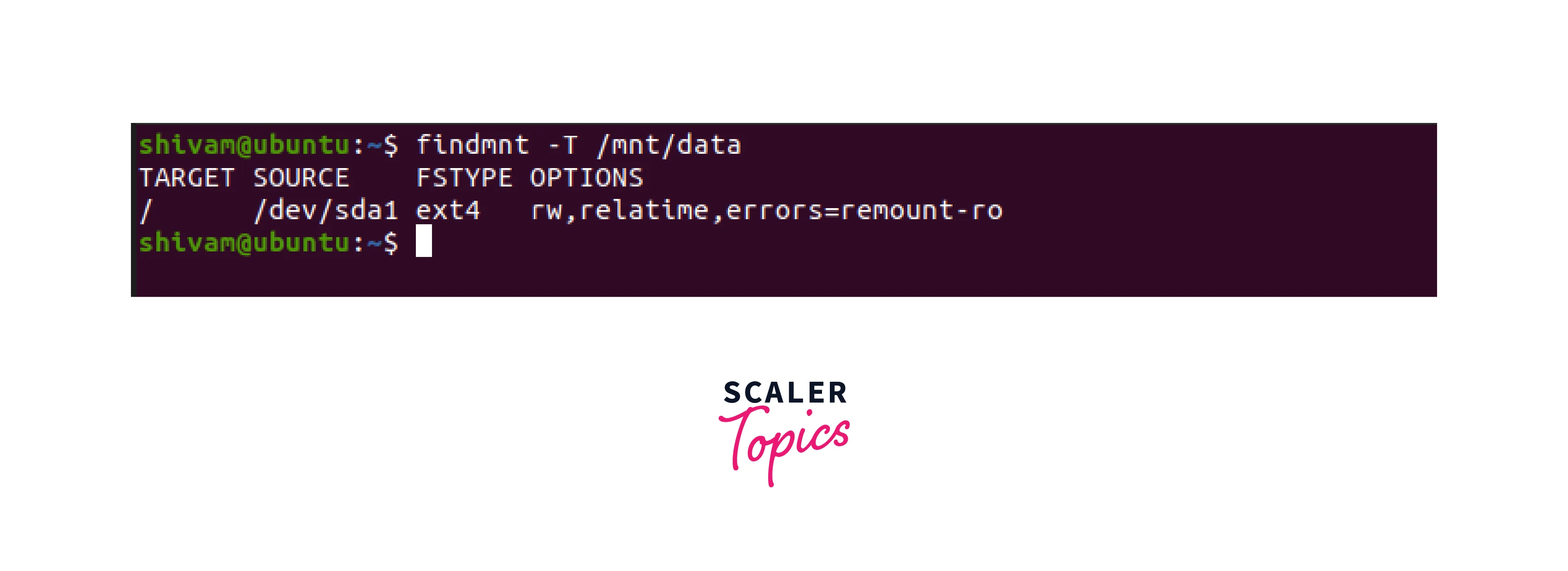 Command findmnt -T /mnt/data