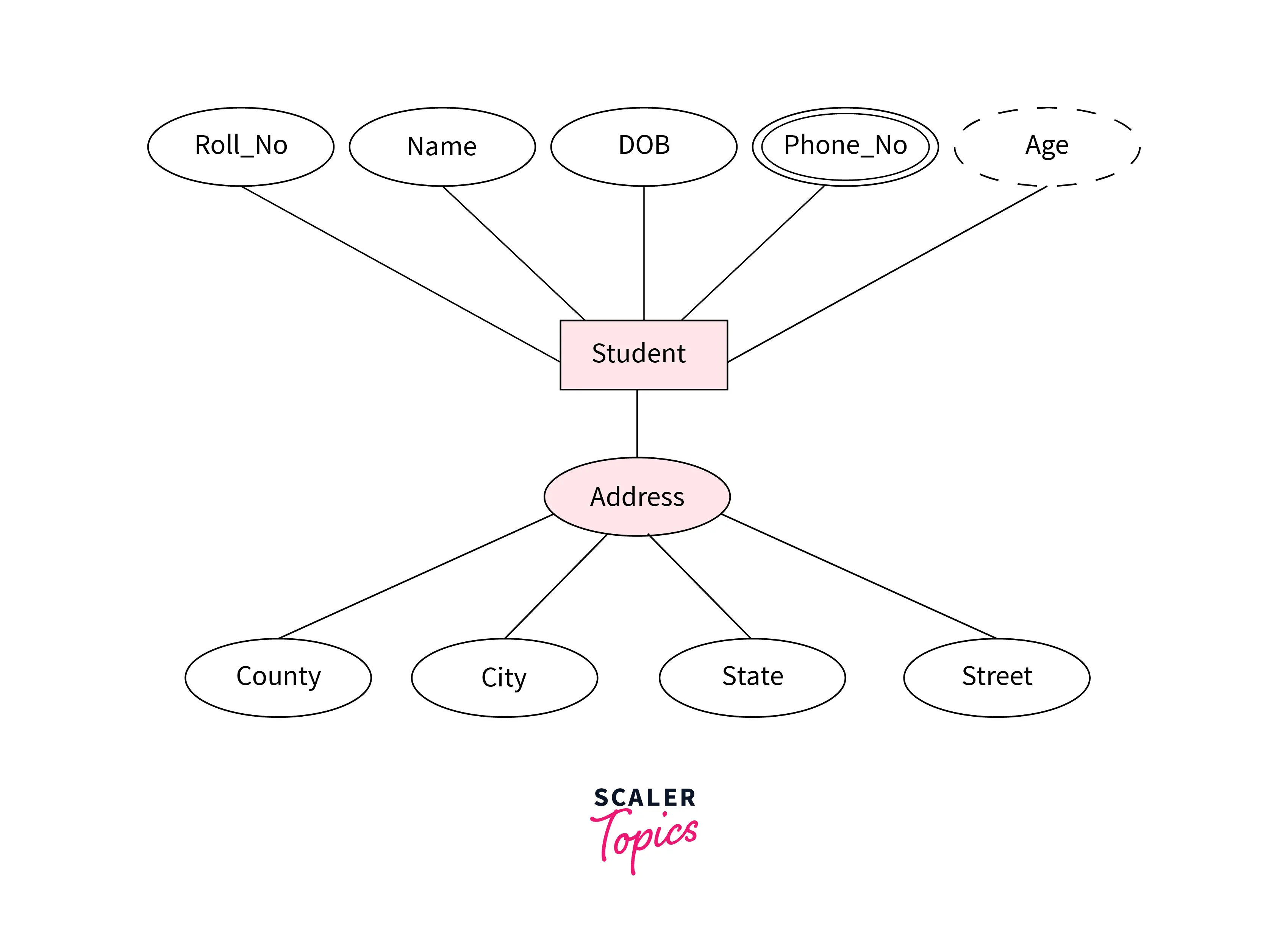 complete student entity type having different types of attributes