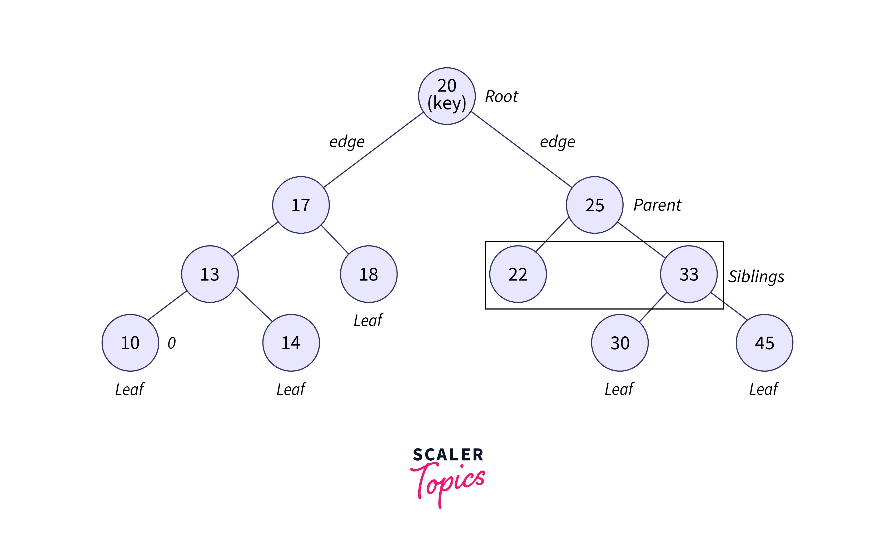 components of binary tree also show height depth and internal node