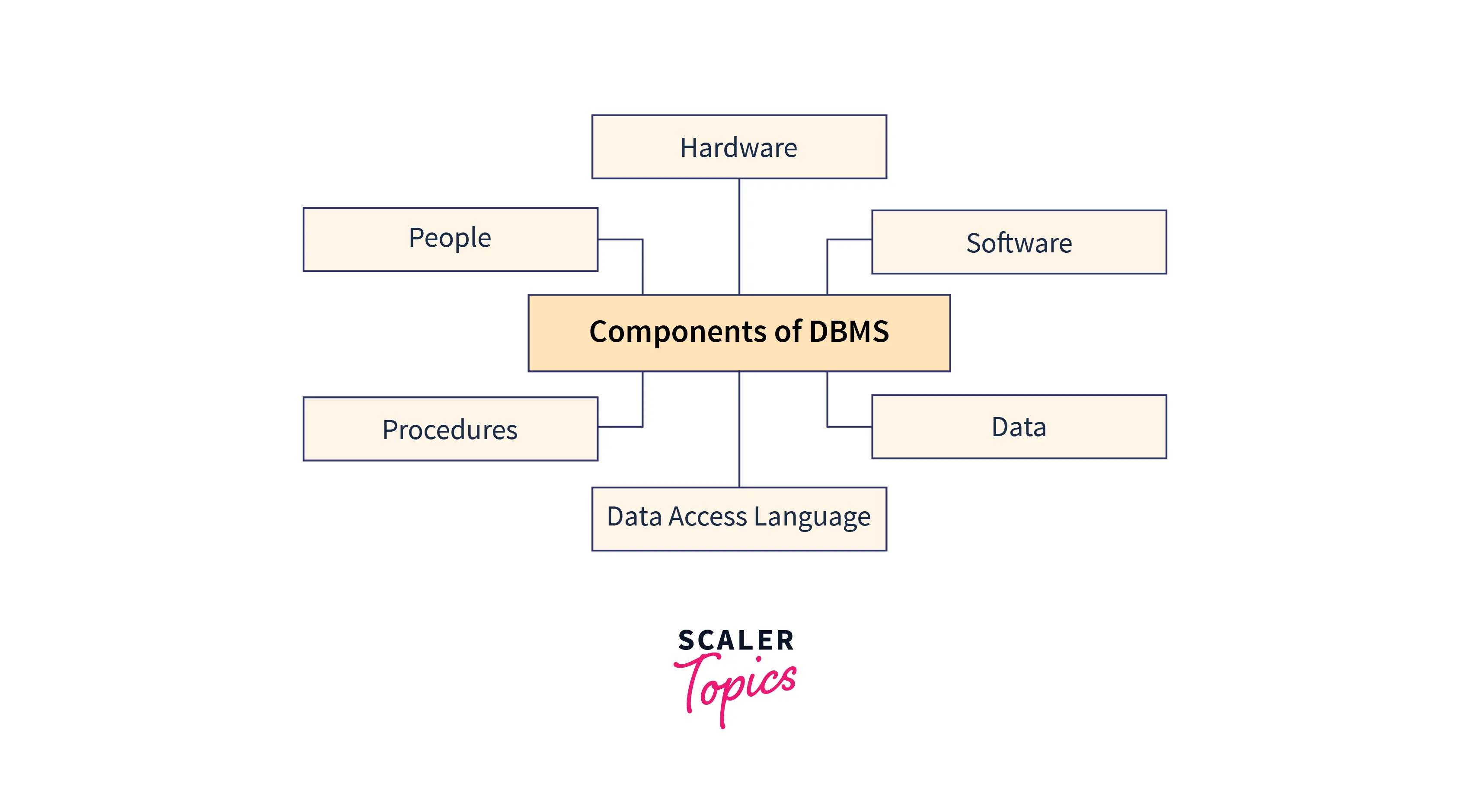 components-of-dbms