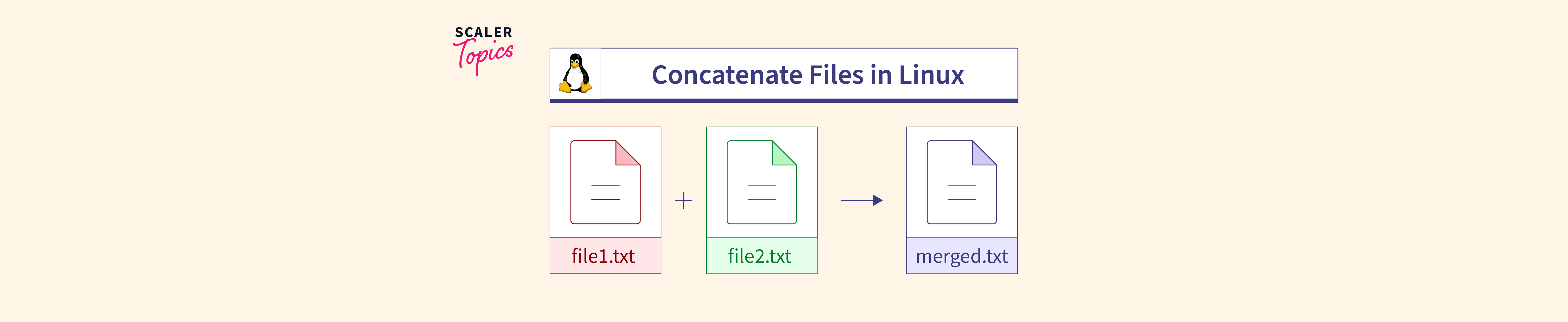 How To Concatenate A File In Linux