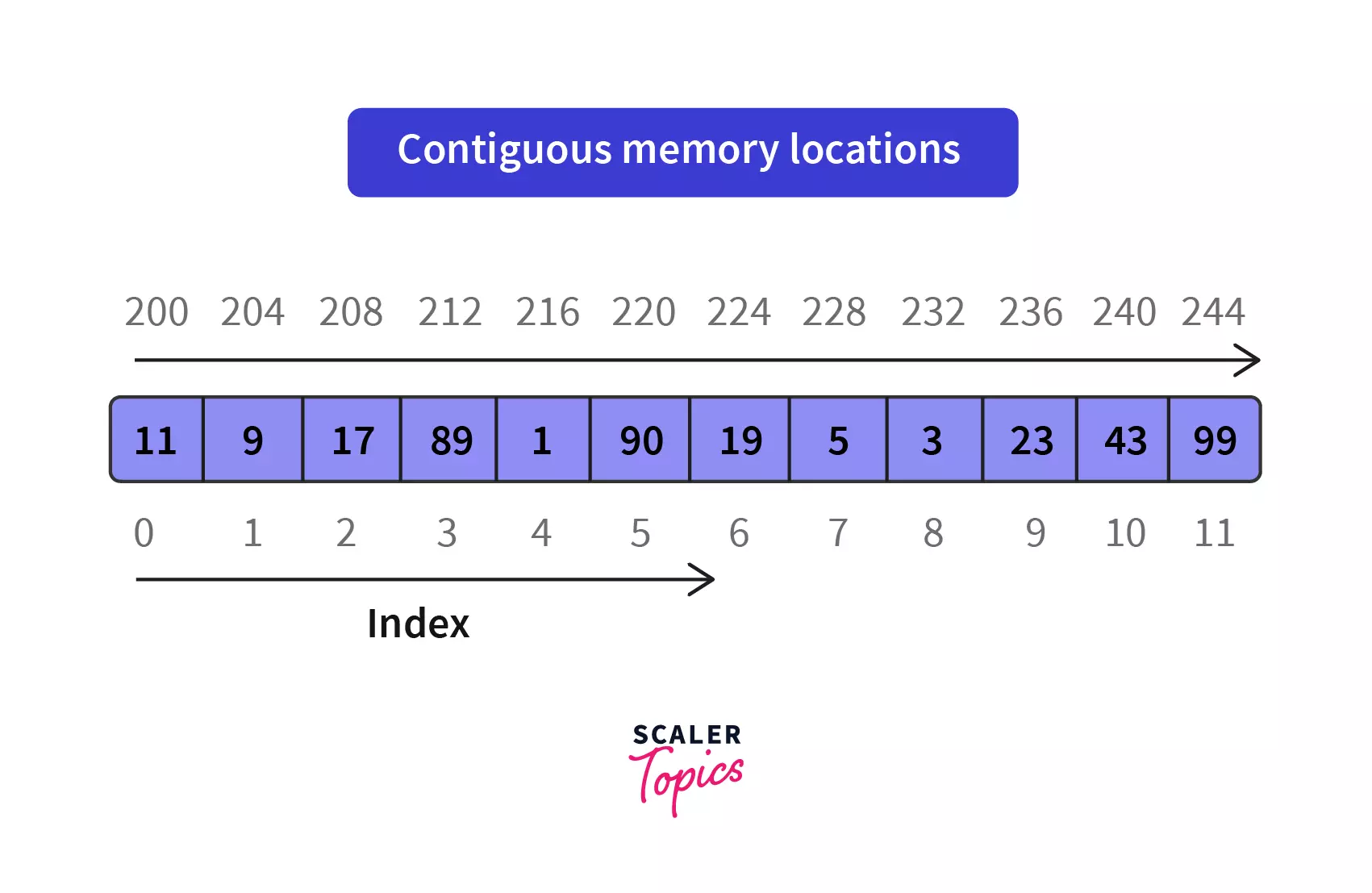 Contiguous Memory Locations