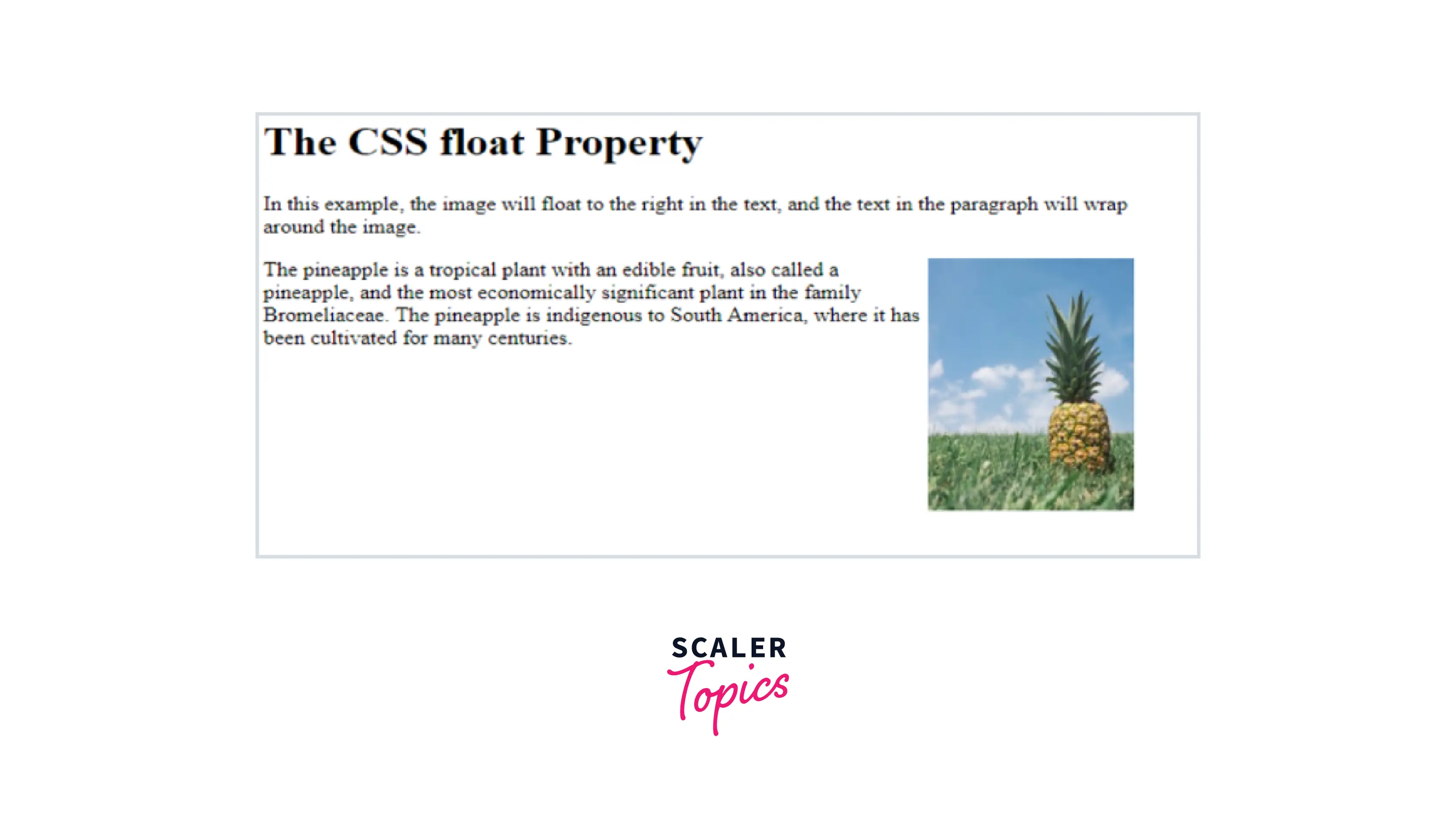 CSS Float Property Example