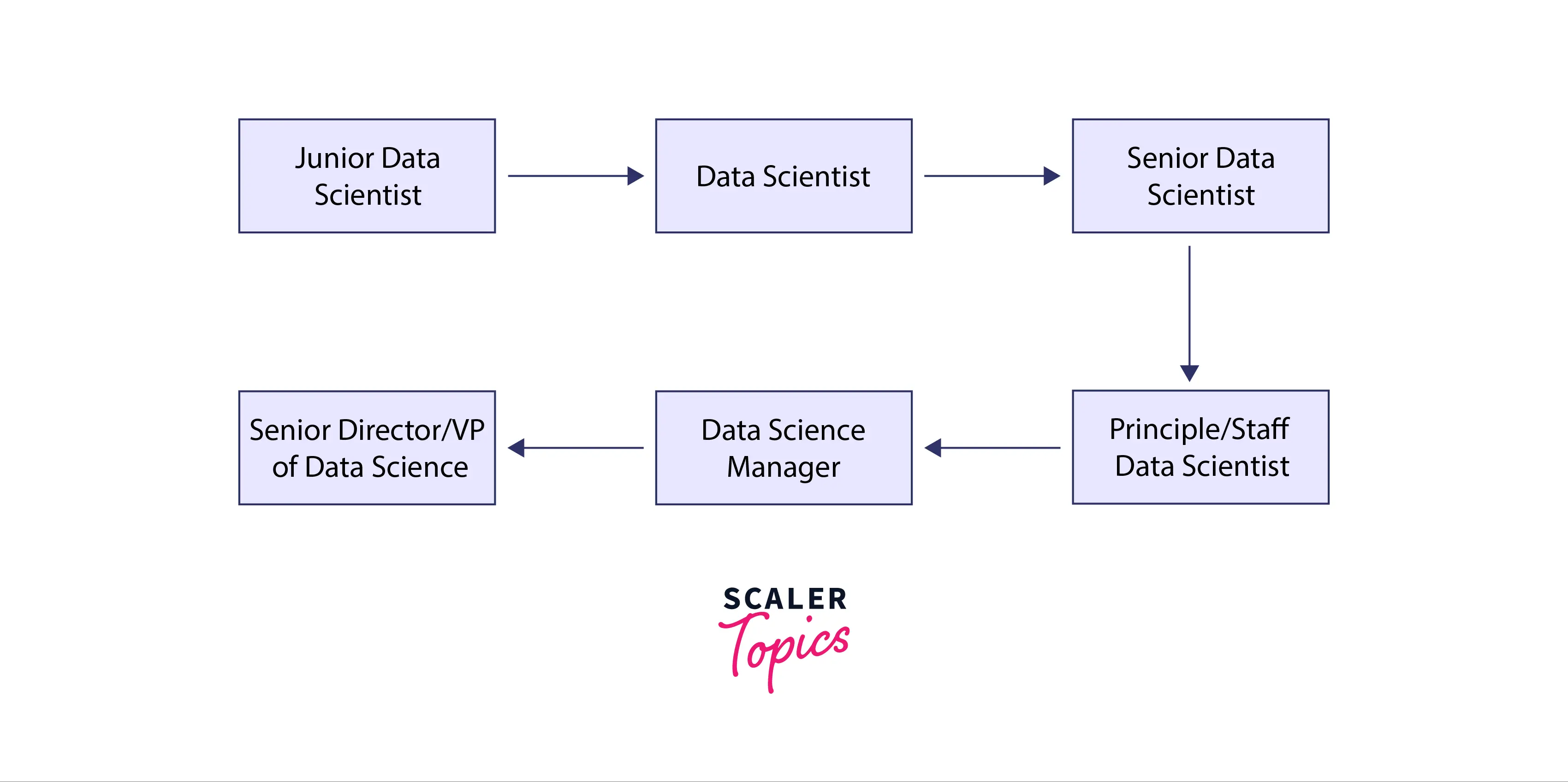 data-scientist-career-path