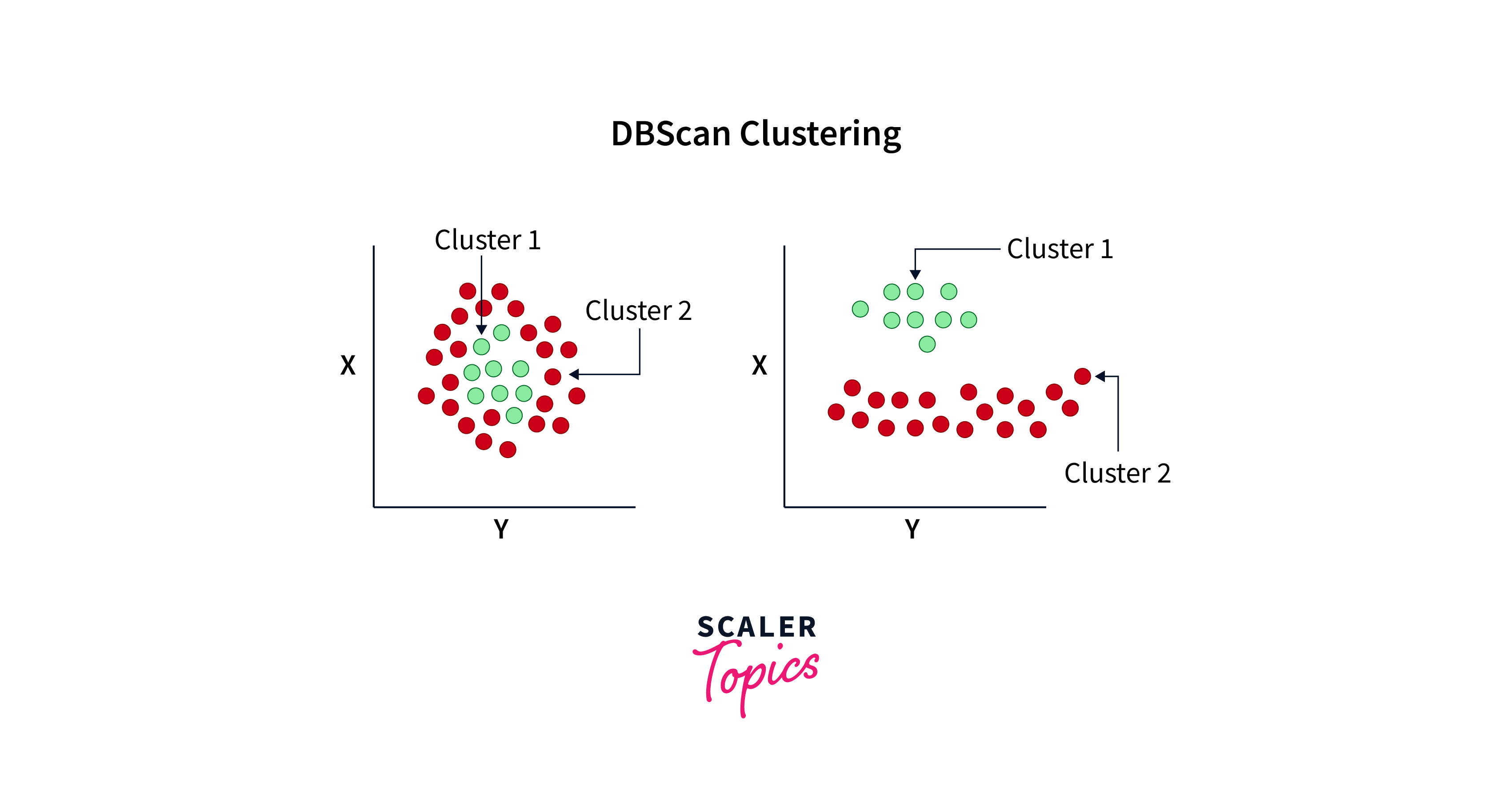 DBSCAN Clustering in R Programming- Scaler Topics