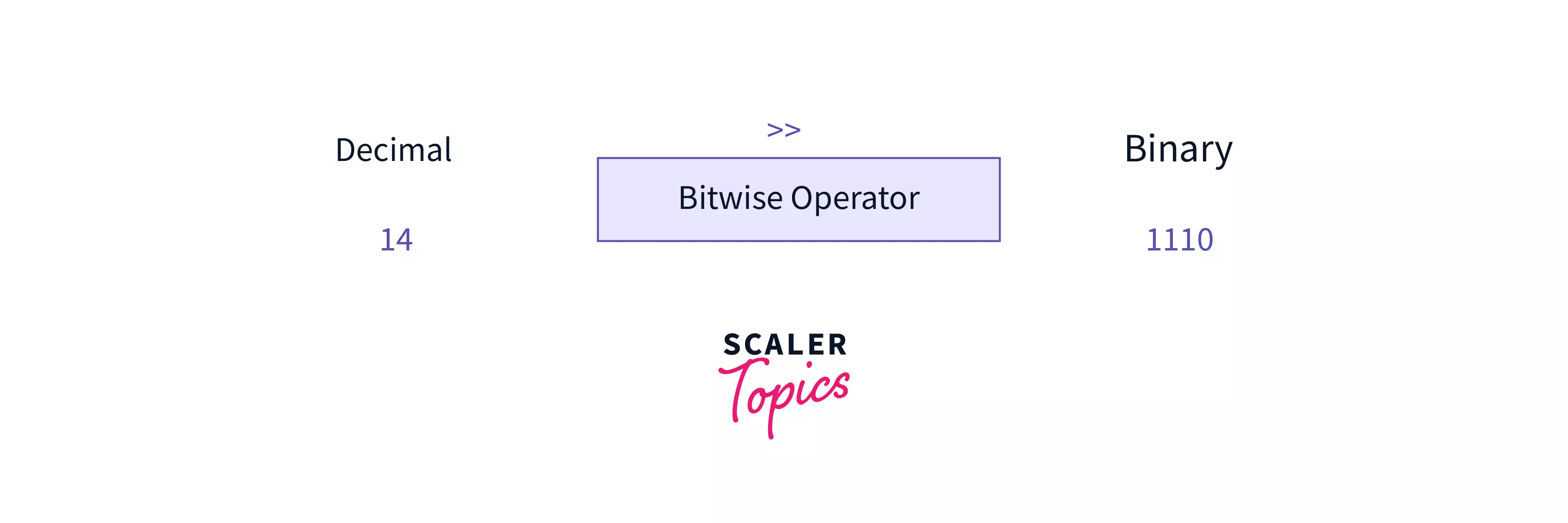 decimal to binary using Bitwise operator
