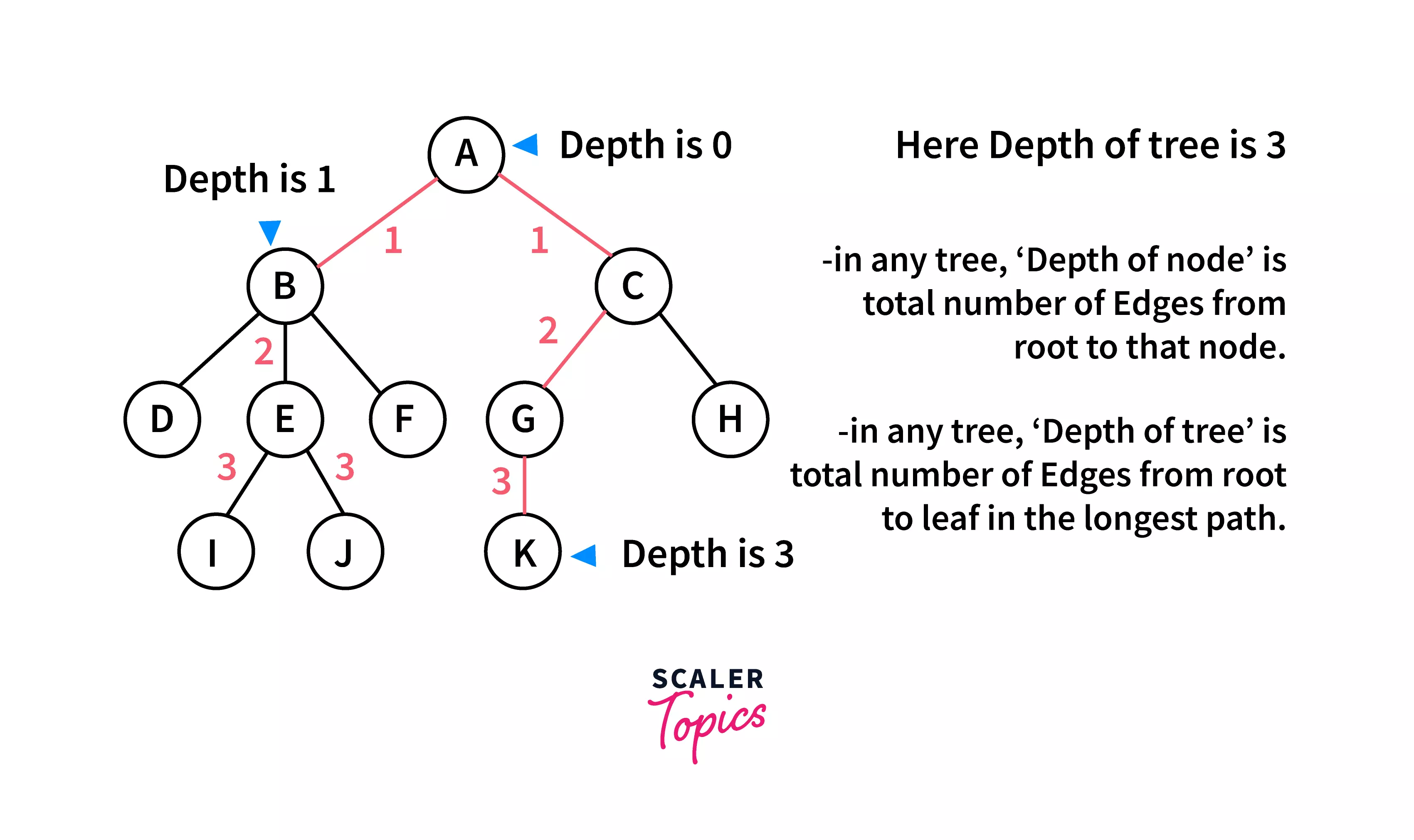 depth-tree-terminology