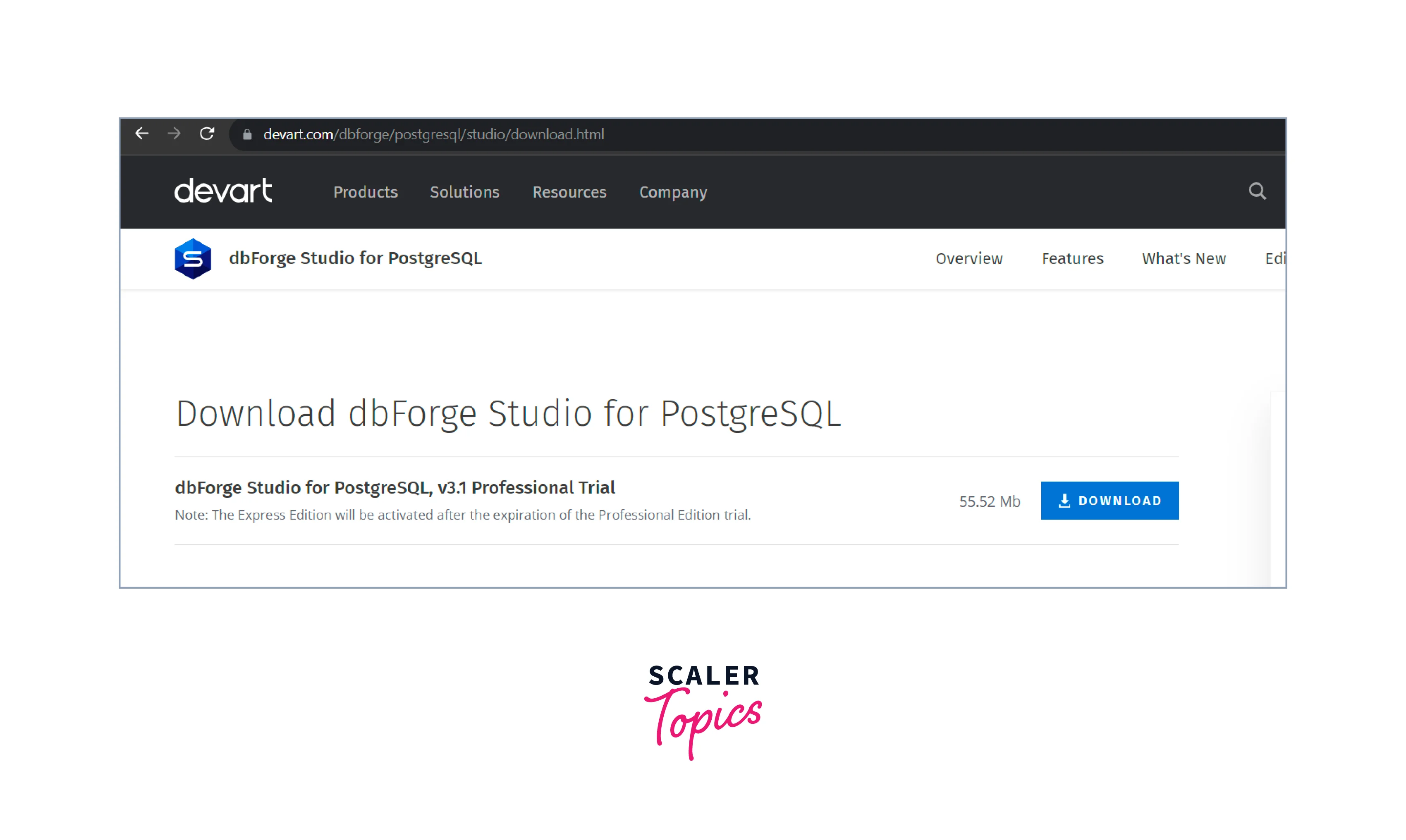 dfroge studio download page